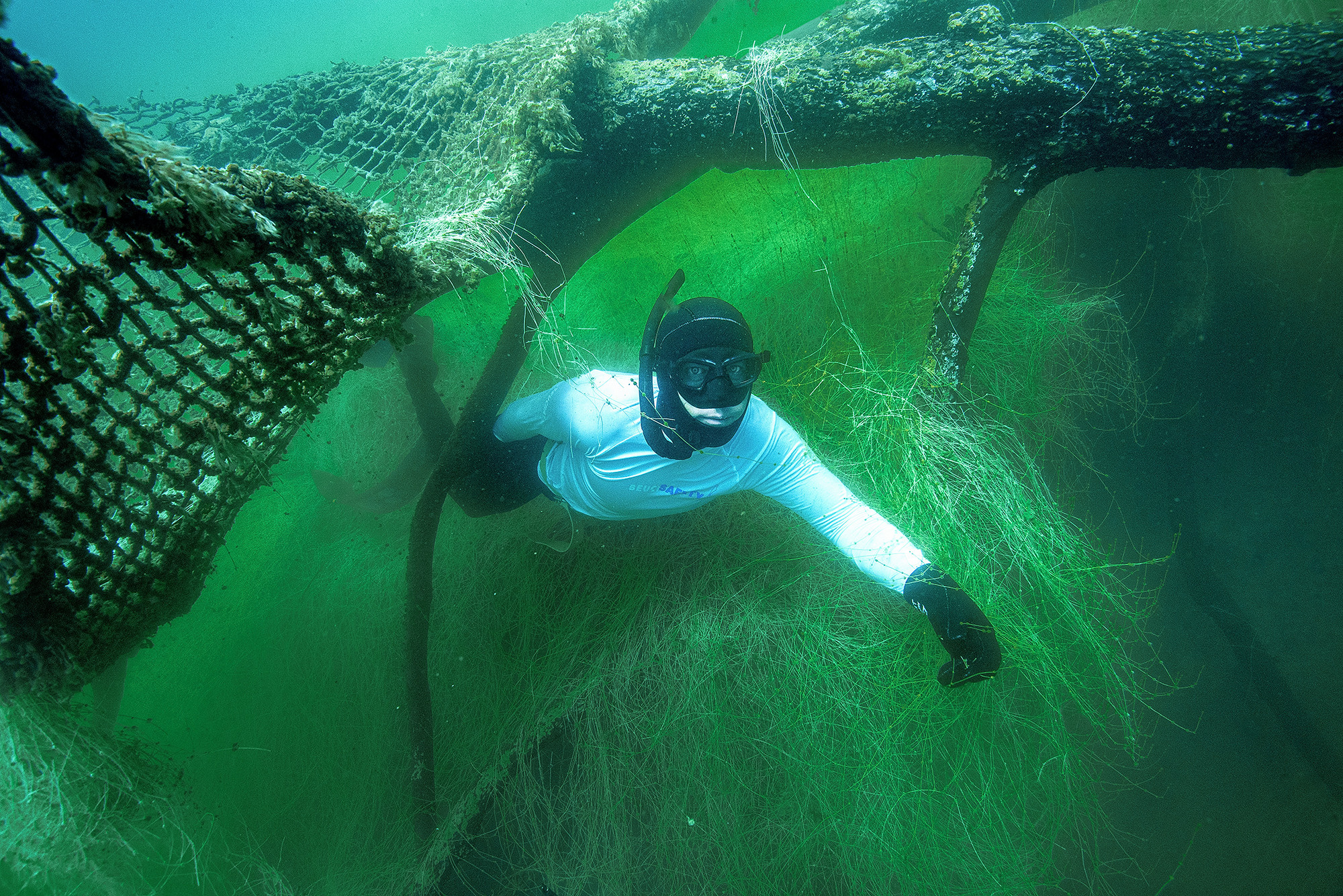 Дайвинг и фридайвинг. Профессиональная фотосъемка. Ростов-на-Дону