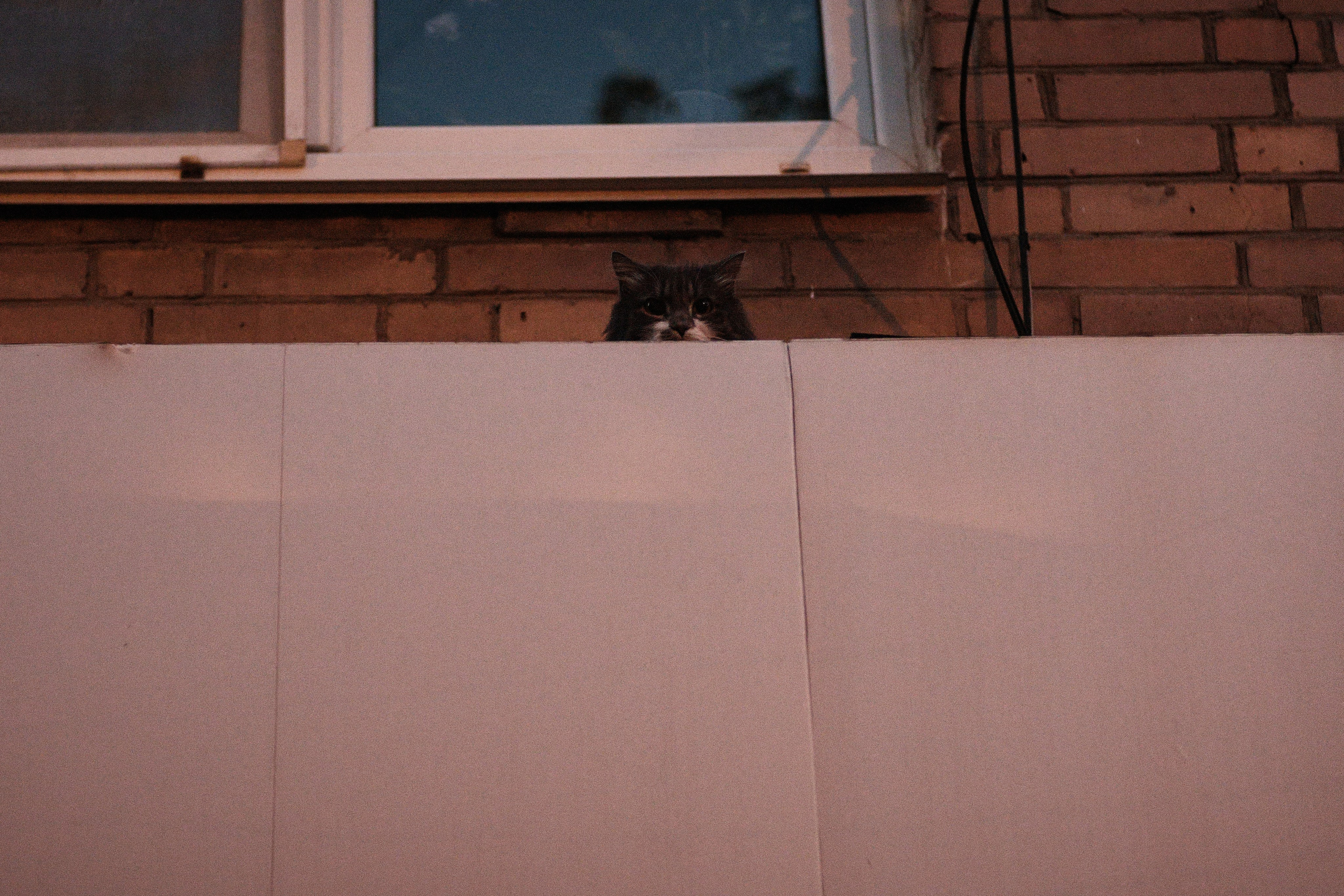 Котики. Фотограф портретный архитектурный лавстори будуар Санкт-Петербург Виктор Иванов