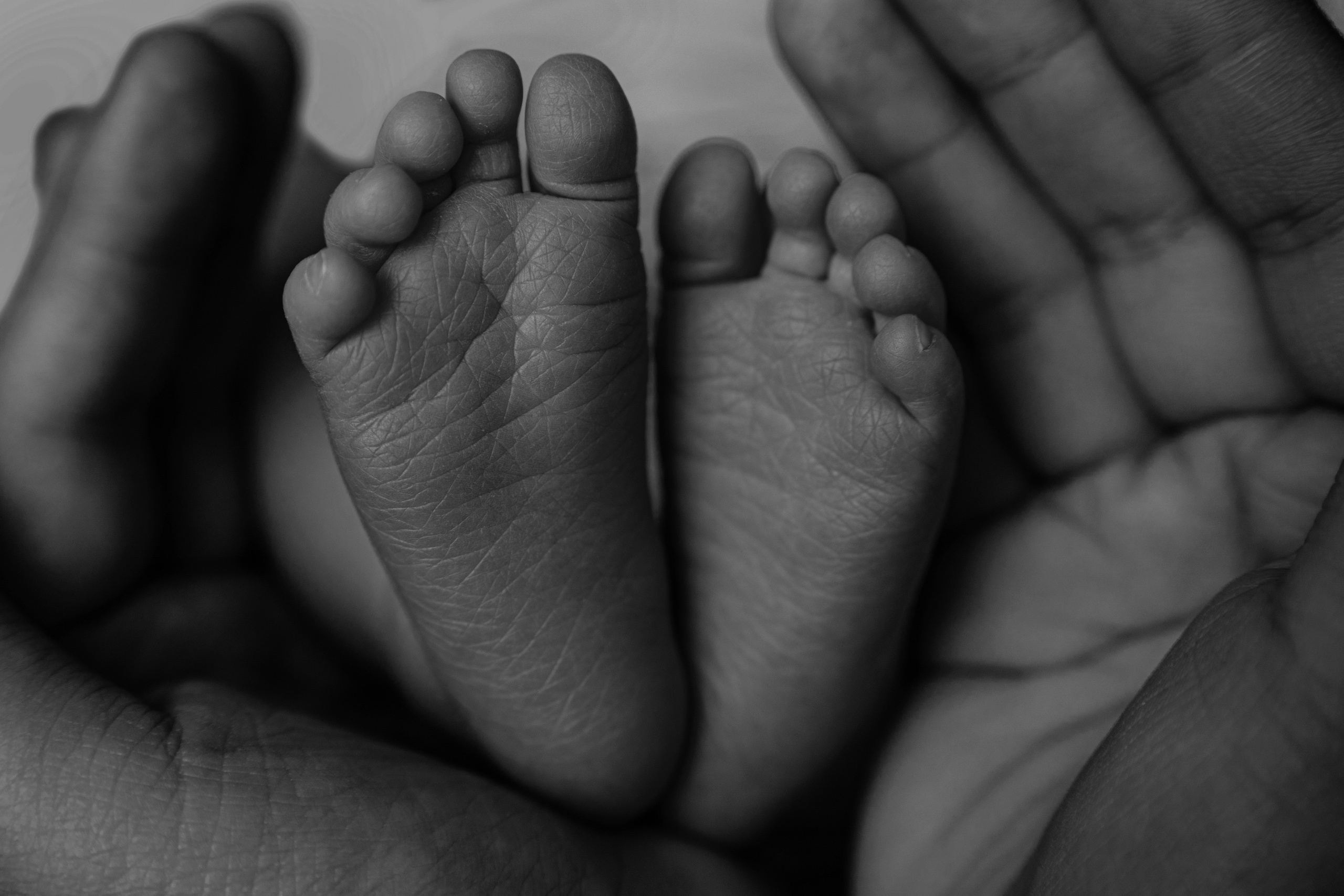 Макро кадры. Фотограф Александра Василькова