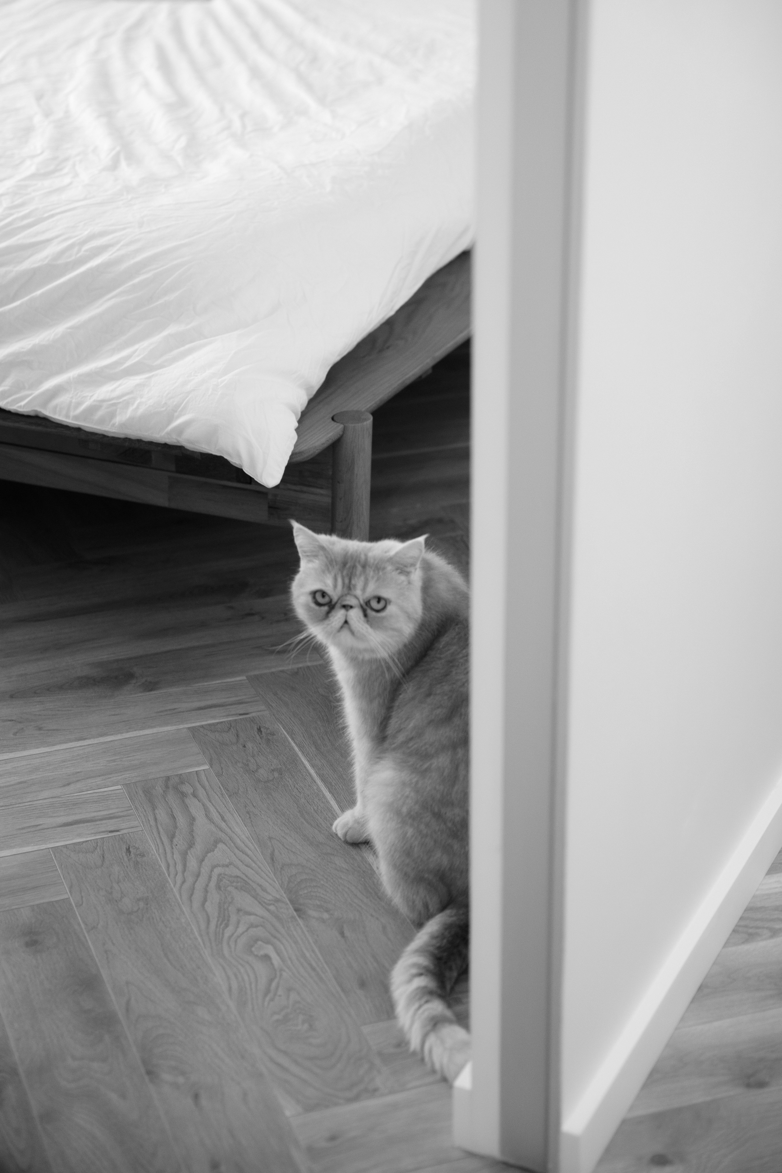 «Фотографии в стиле „Лайф“» «домашние съемки». Фотограф новорожденных, детский фотограф  Москва.Семейная съемка Москва. Семенова Анна