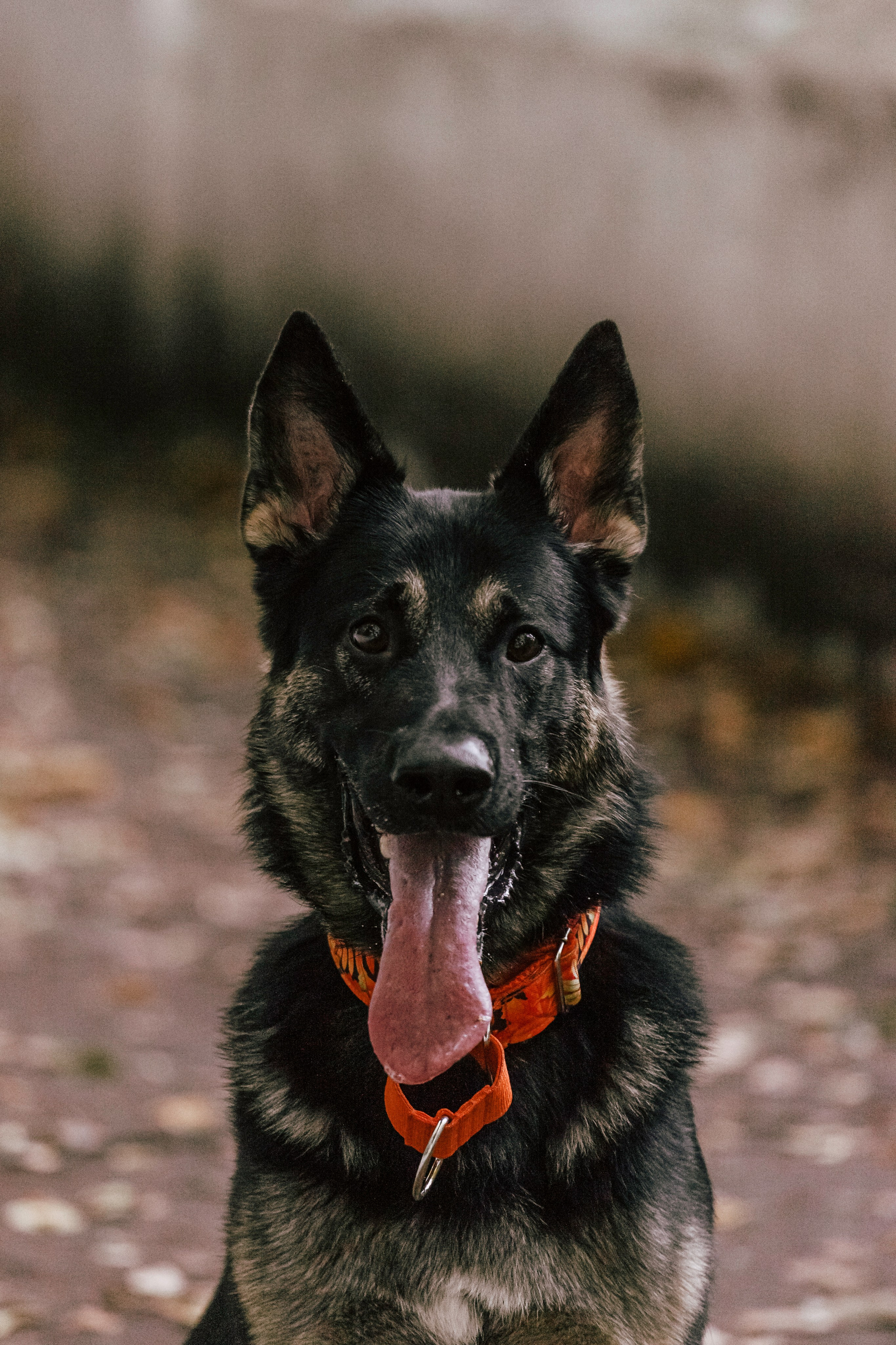 Илай. Фотограф-анималист Татьяна Степанова