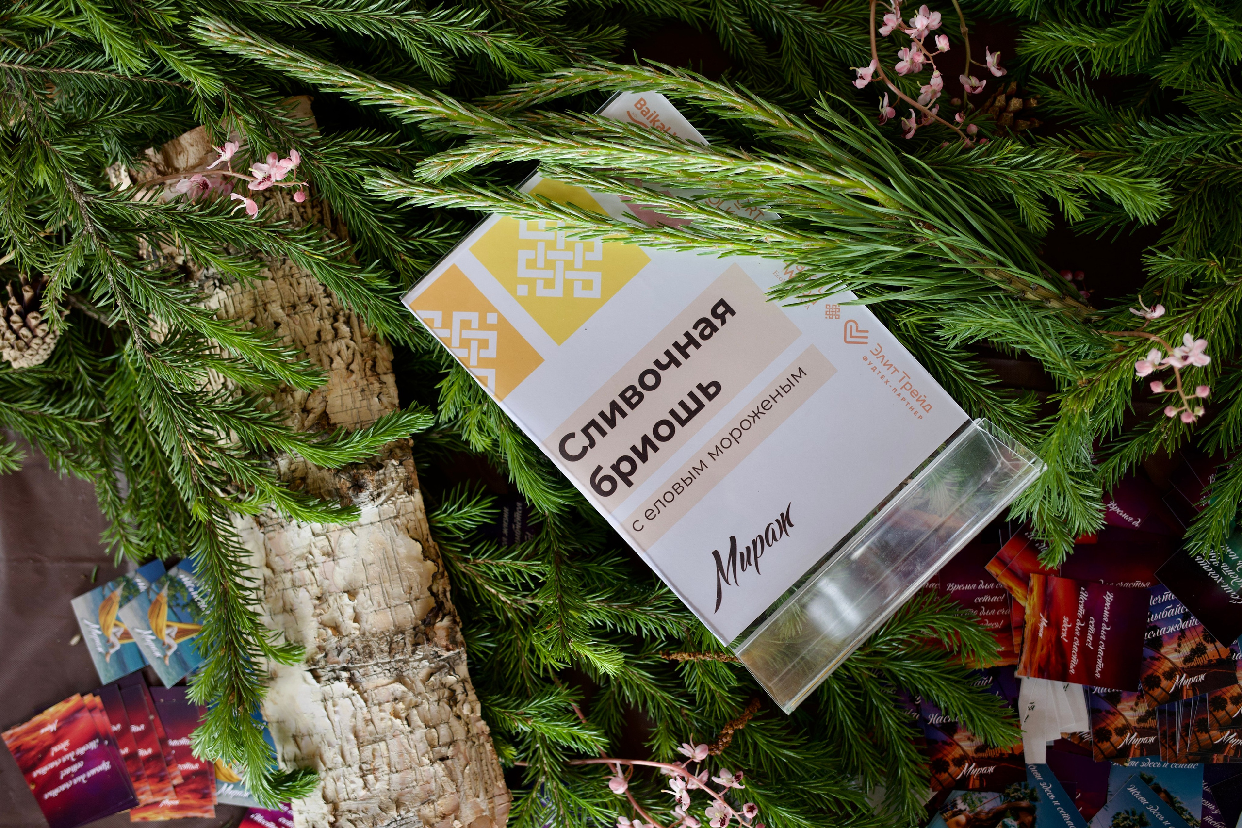 Репортаж. Пилот, фотограф и оператор Баркалова Светлана