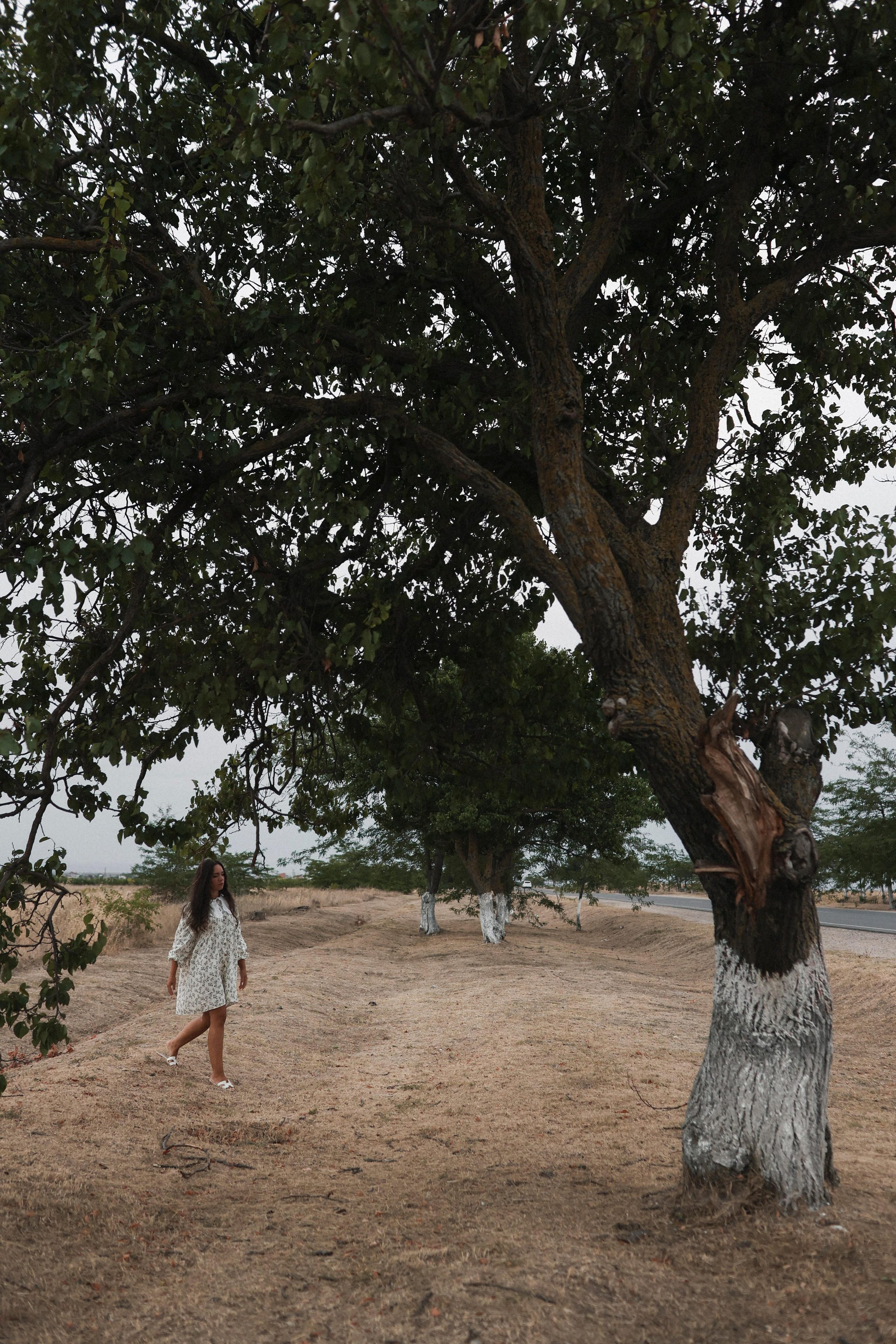 Пойдем, словлю тебе кузнечика. Свадебный и портретный фотограф. Видеограф на Свадьбу. Севастополь, Ялта, Симферополь, Крым