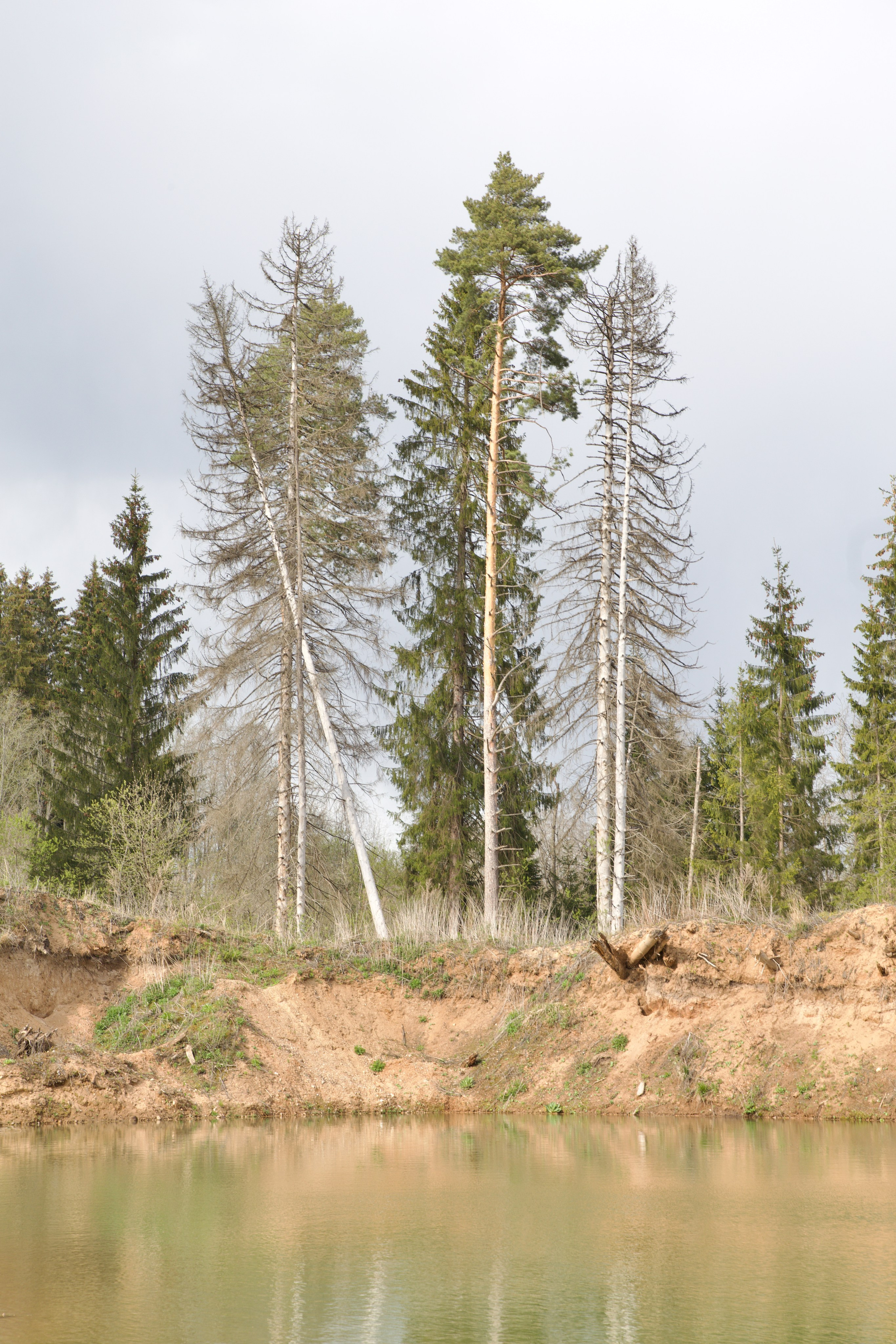 Чудесная природа. Школьные выпускные альбомы в Москве Марина Николаева