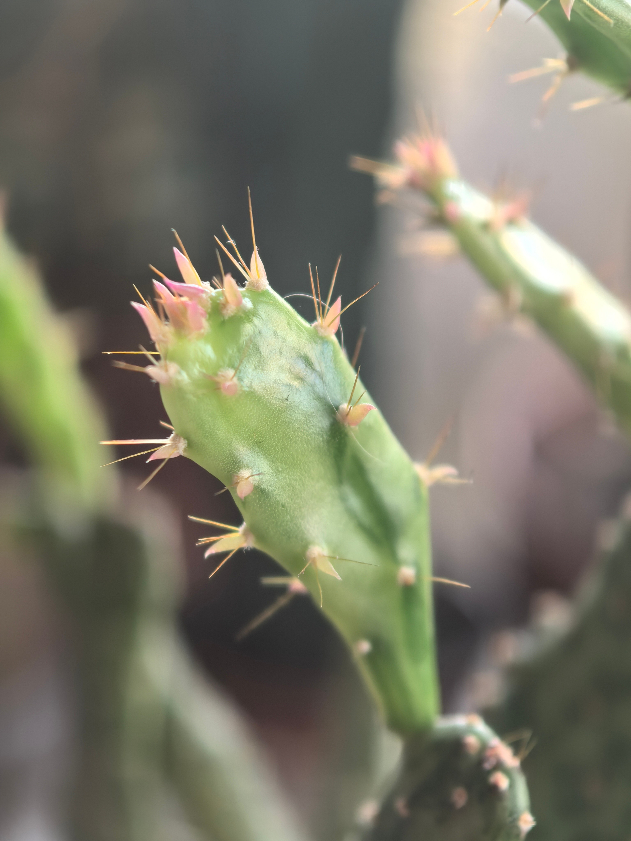 ПочтиМАКРО. Школьные выпускные альбомы в Москве Марина Николаева