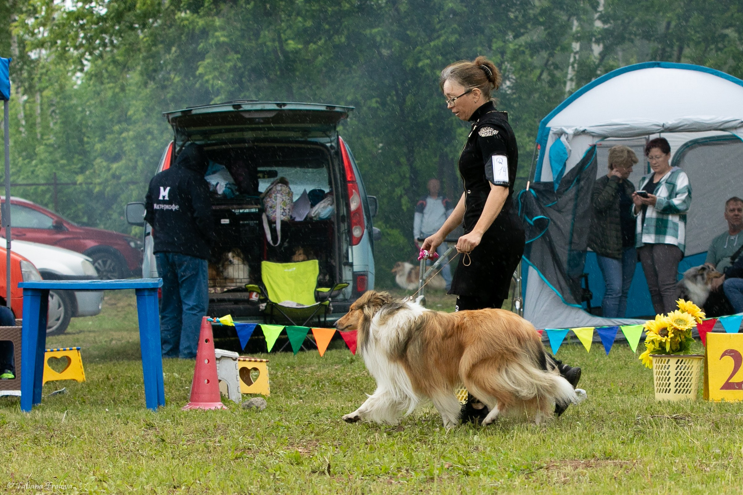Фотосопровождение выставки собак в Московской области и Москве. Фотограф-анималист в Москве и Московской области Татьяна Фролова