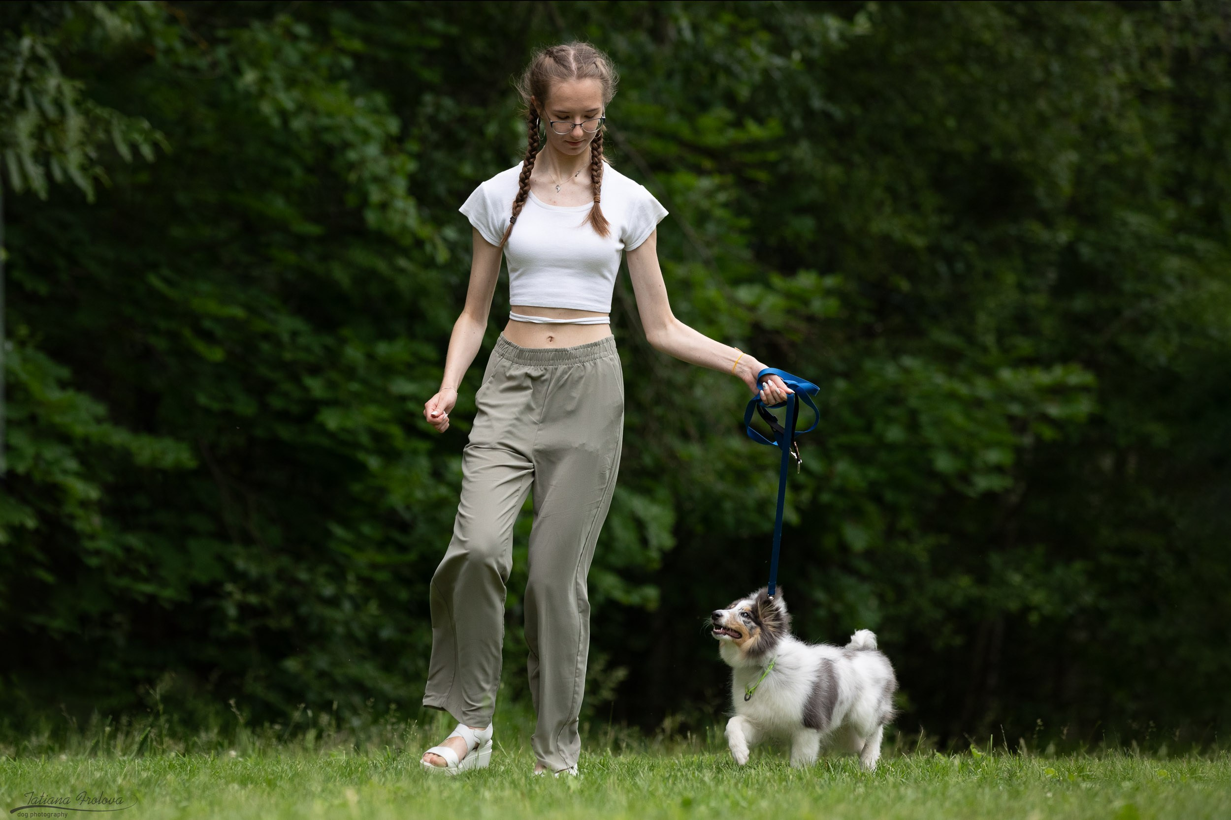 Репортаж с выводки молодняка колли/шелти в Ясенево. Фотограф-анималист в Москве и Московской области Татьяна Фролова