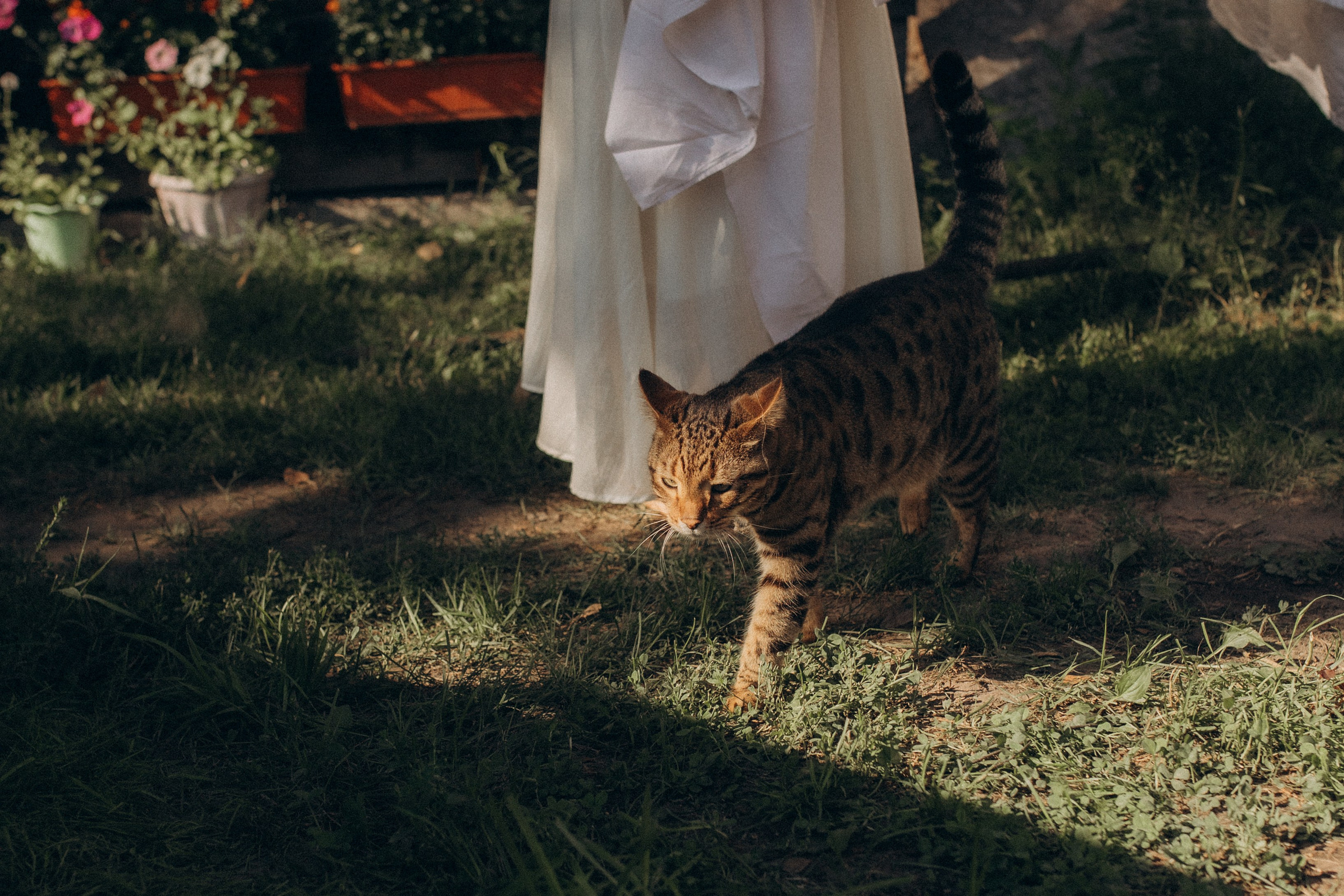 Дачная история. Семейный фотограф lifestyle в Новосибирске Елена Шпилевая