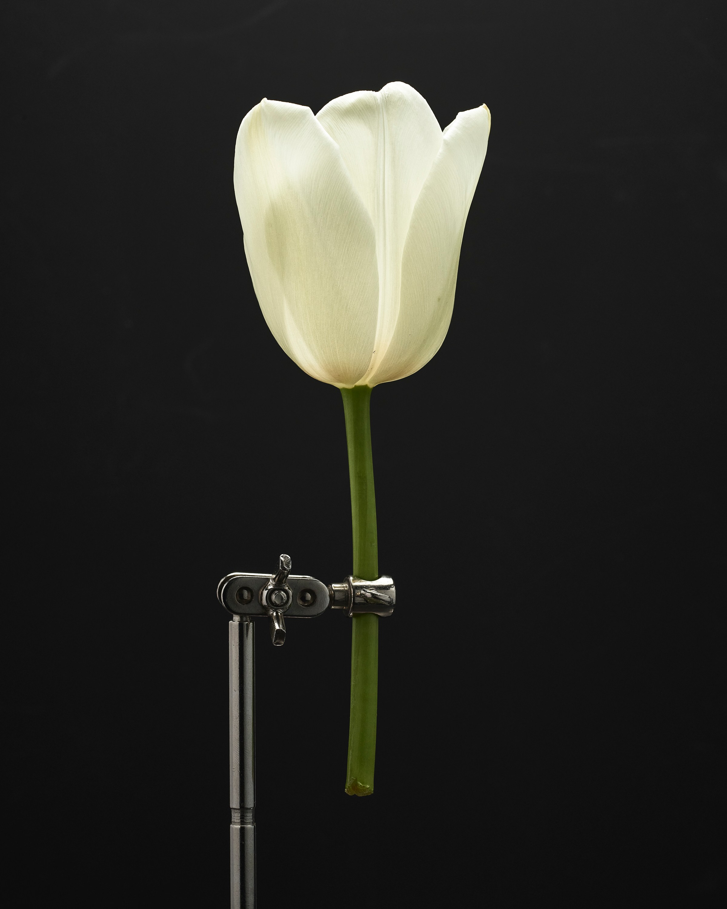 Personal. Vladimir Kochetkov — Photographer, Art Director, AI Creator