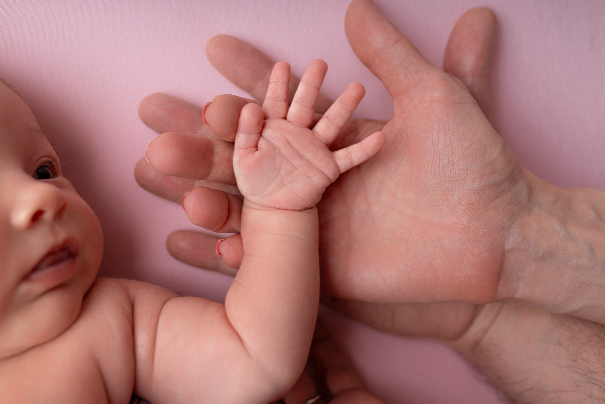 Newborn девочки. Фотограф новорожденных Модяева Ирина
