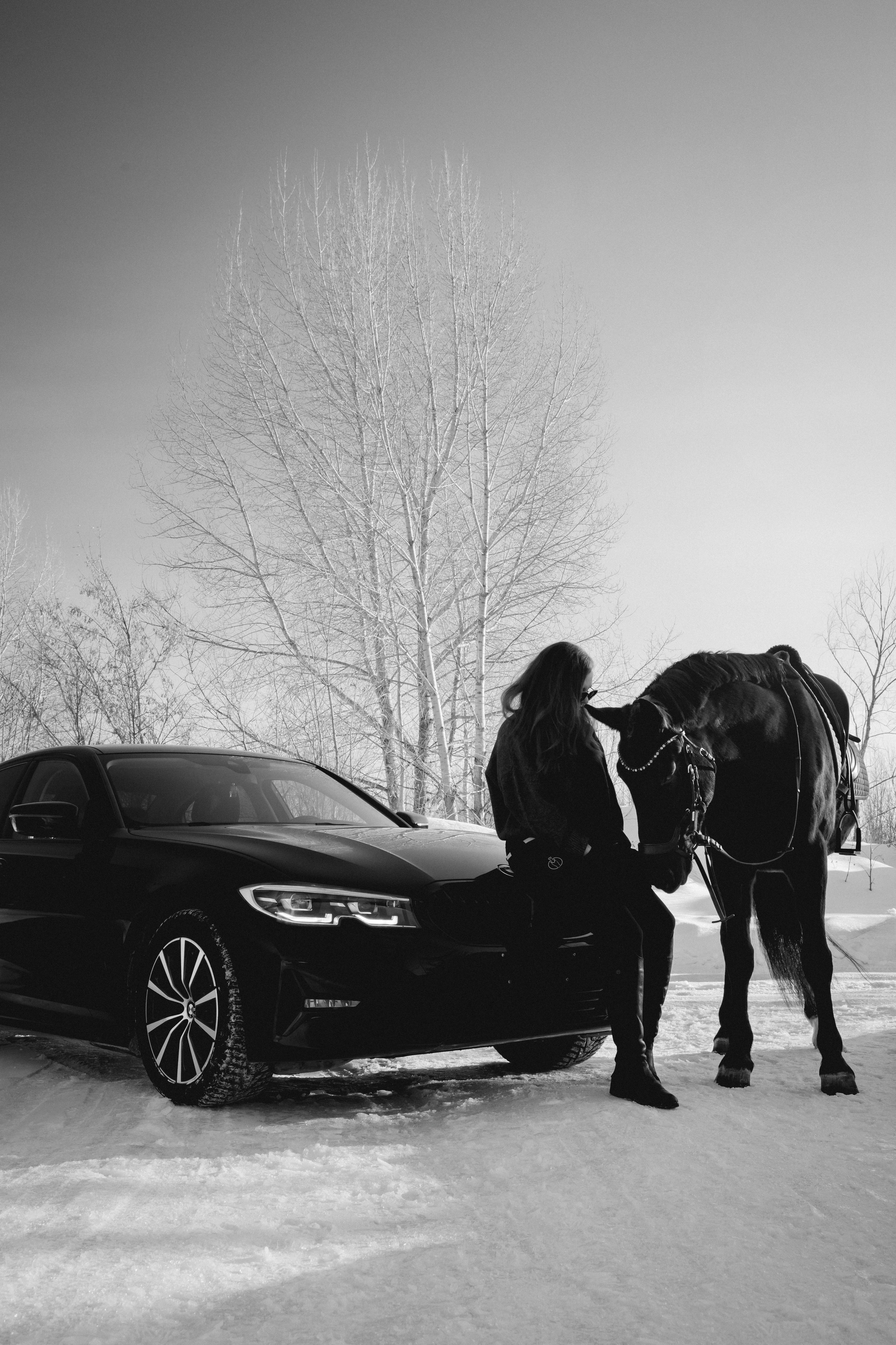 BMW G20 with horse. Автомобильный фотограф и видеограф в Новосибирске|Александра Косухина