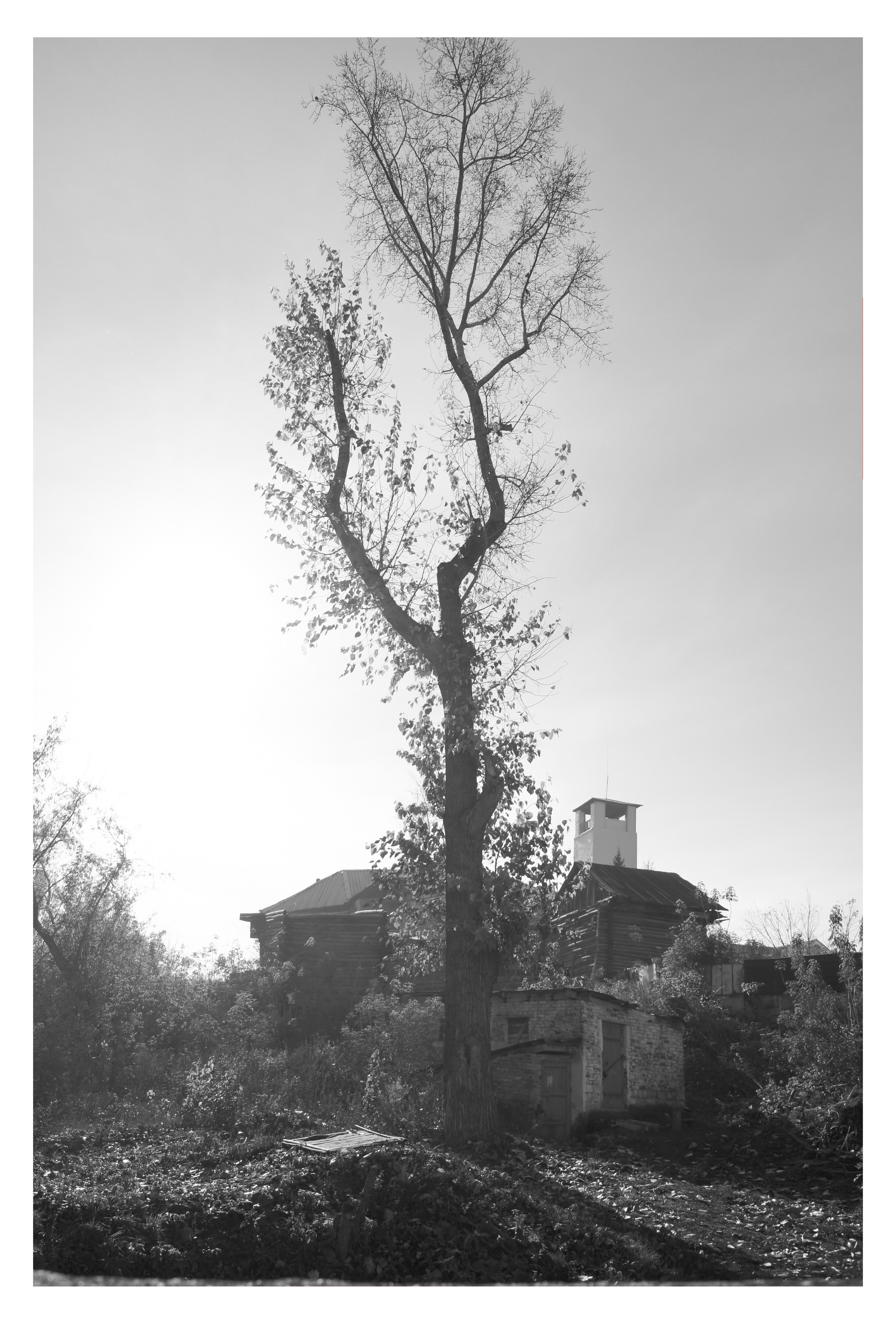 MIASS. Photographer Manakova Olga