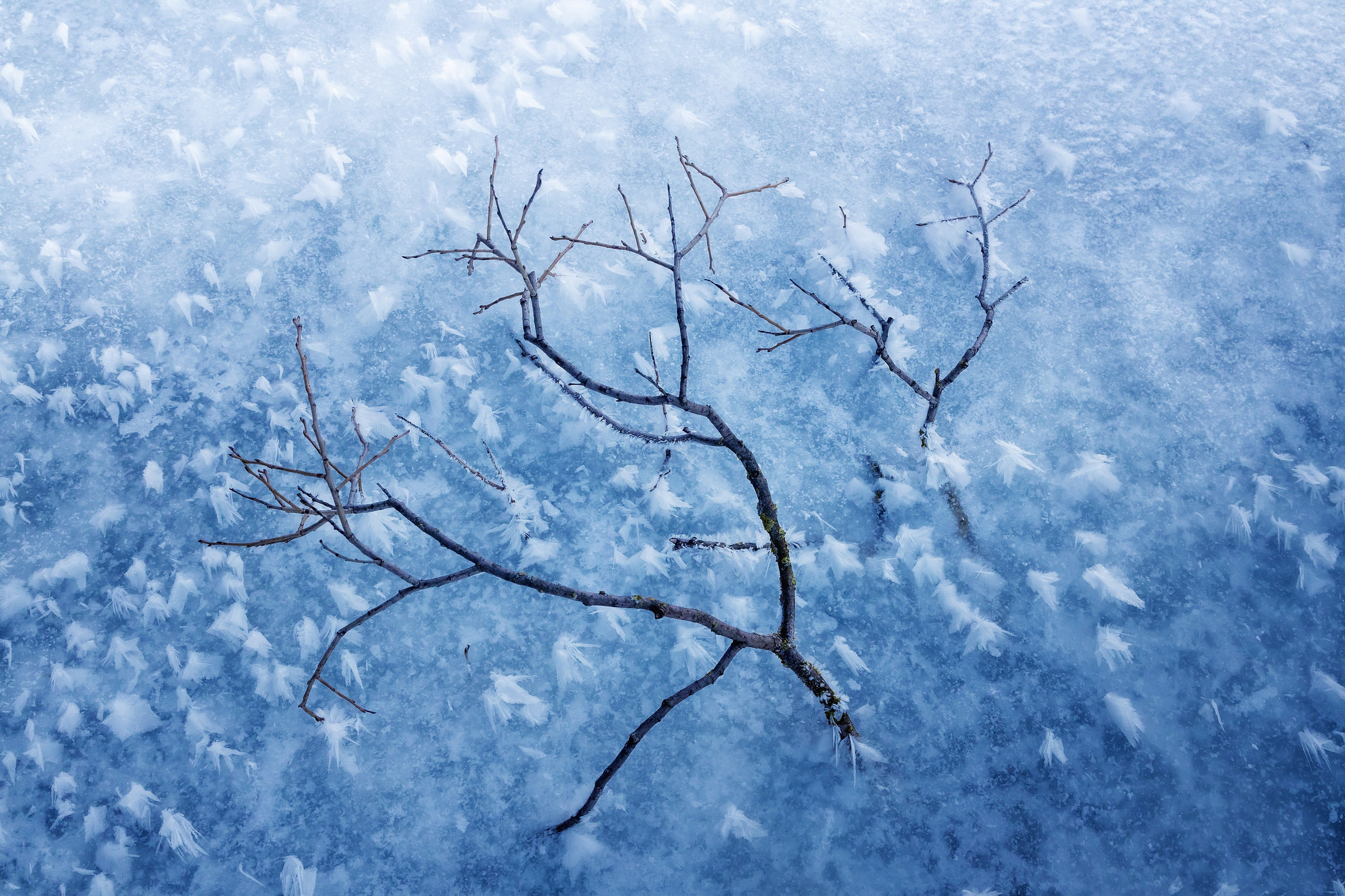 Николай Брытков — фотограф в Туле