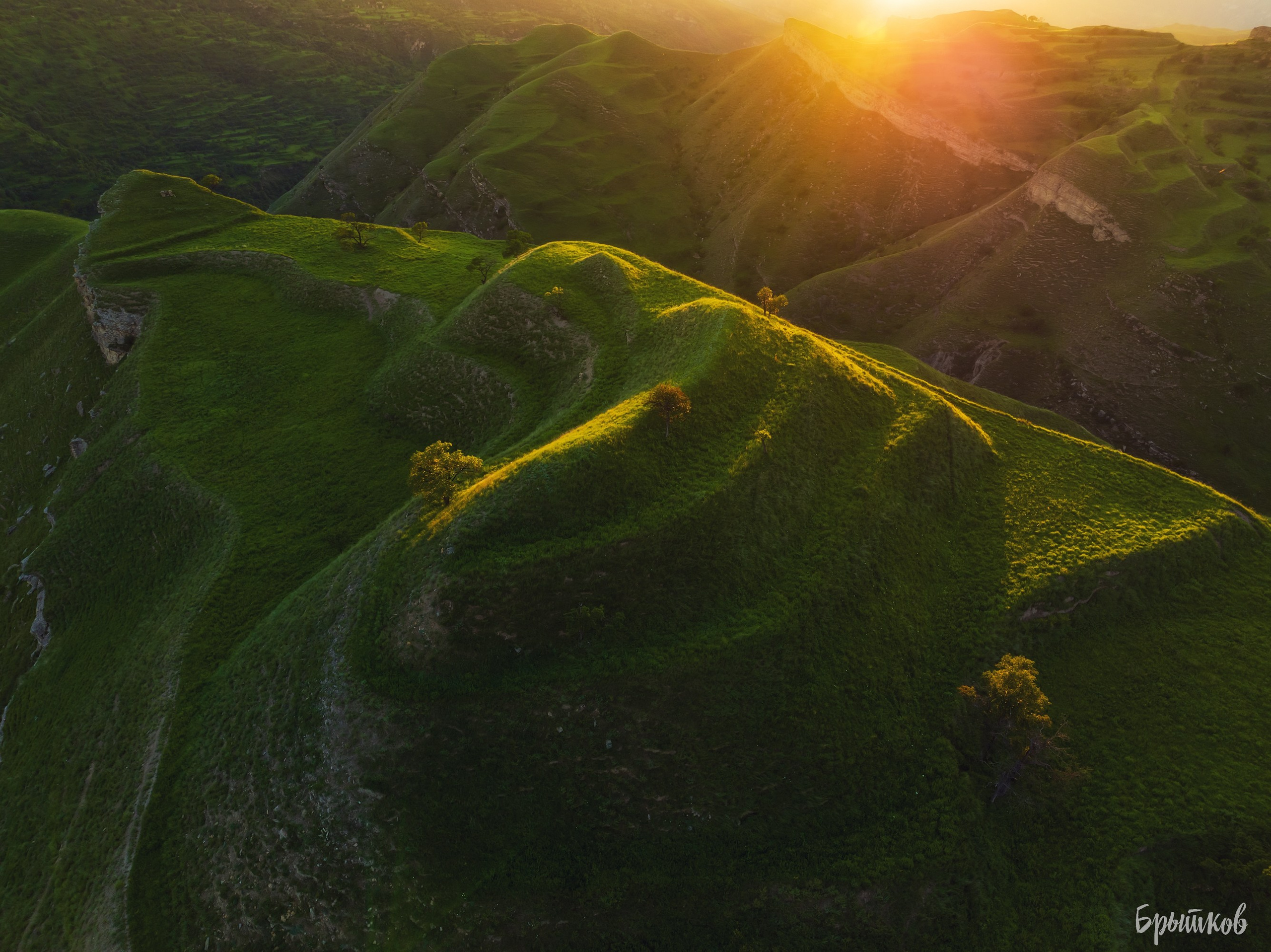 Чох. Николай Брытков — фотограф в Туле