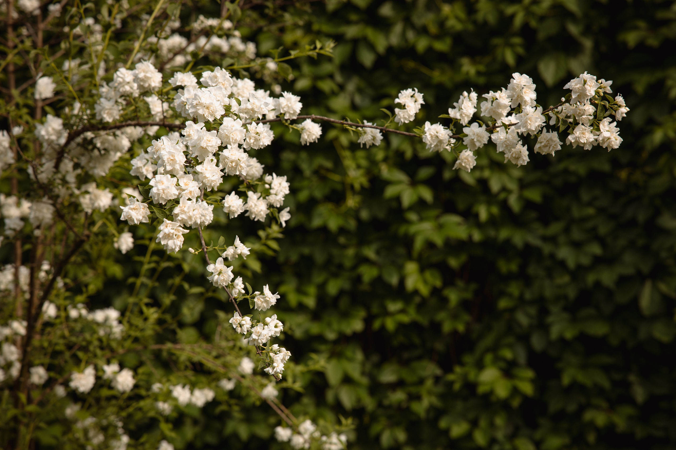 Настя с сыном у Alma-Mater. Ваш семейный newborn и lifestyle фотограф в СПБ Наталья Журавлева