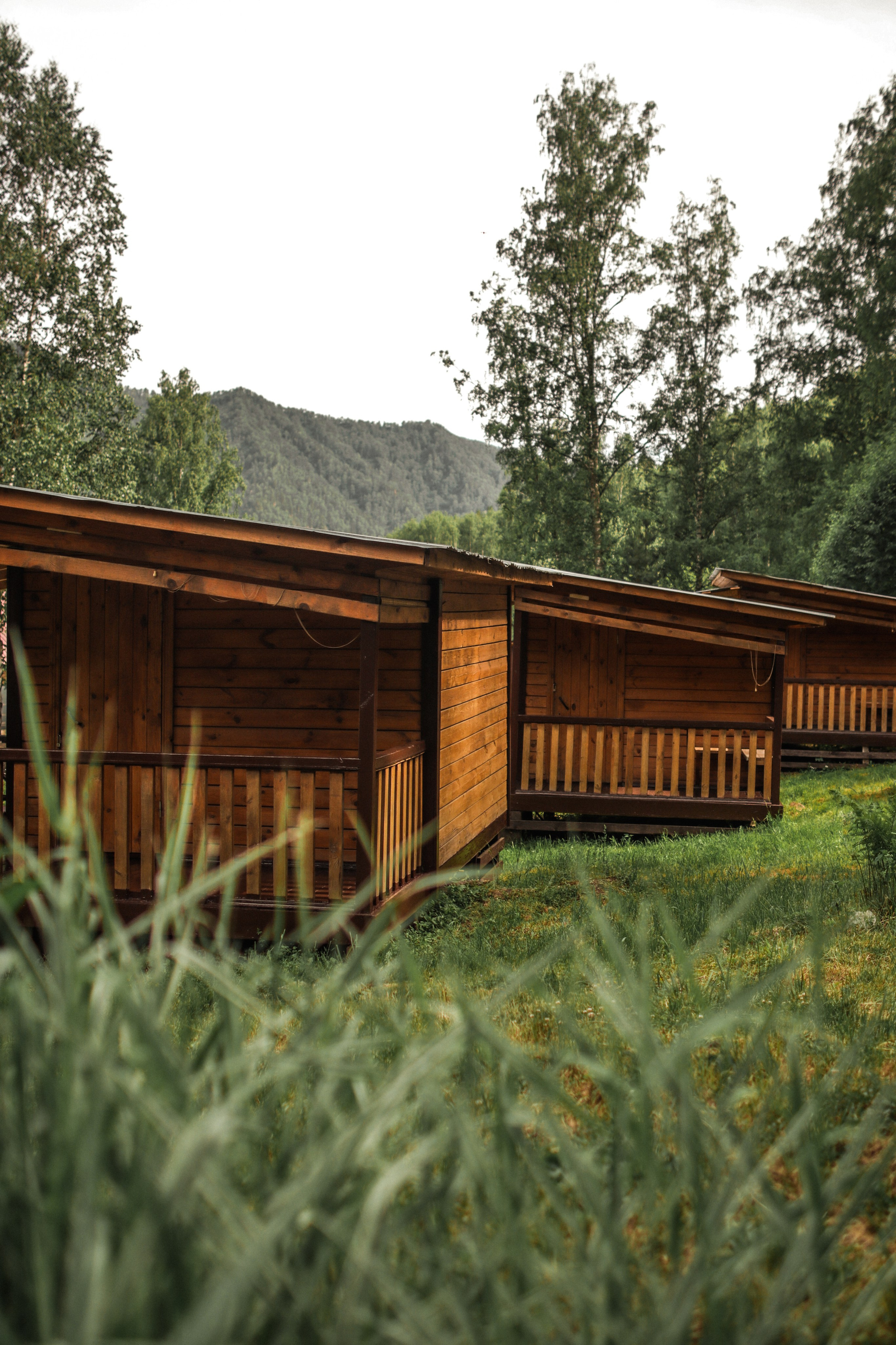 «Красный камень» база отдыха, респ. Алтай. Контент фотограф Дмитрий Борисов