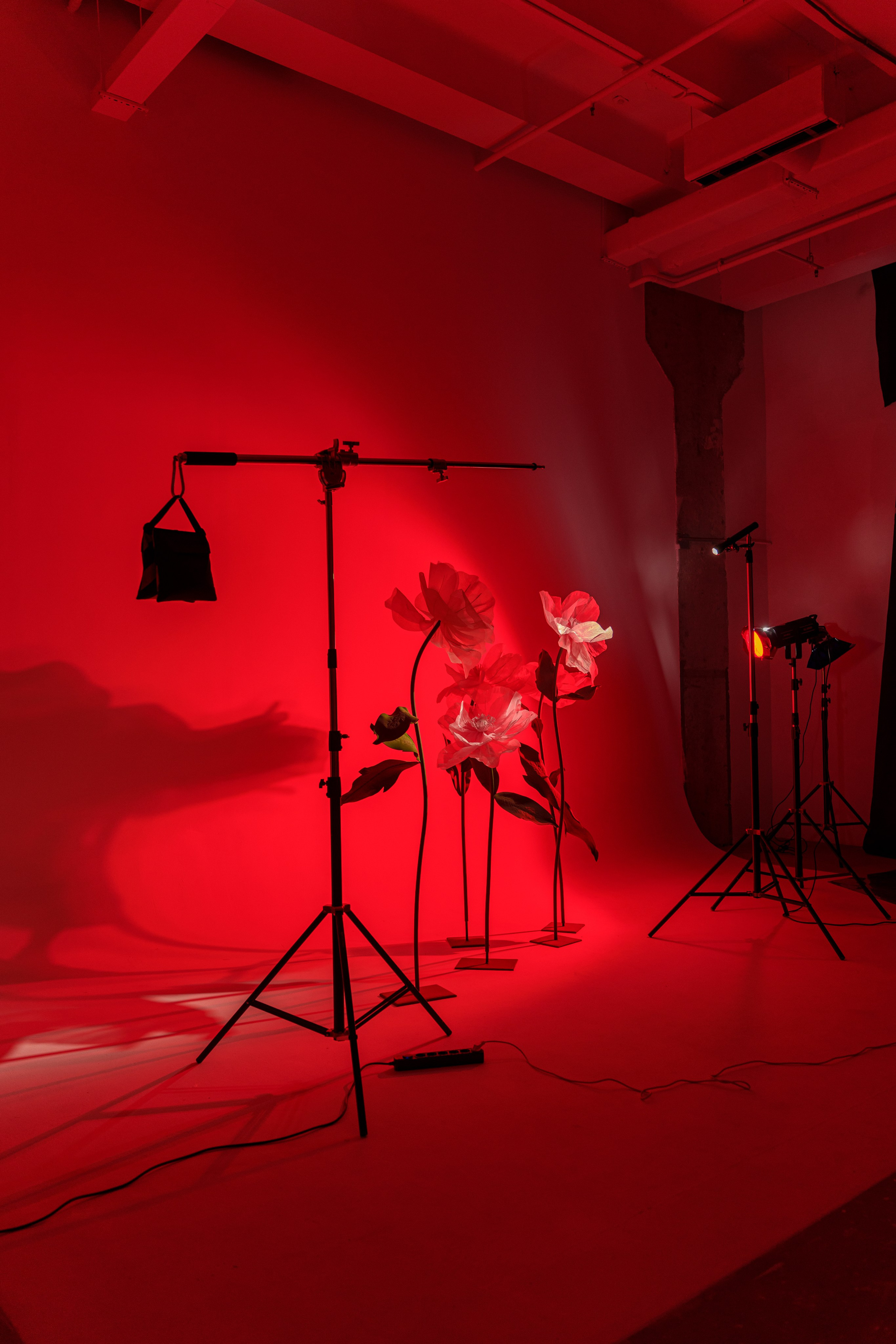 Арт фотосессии в студии