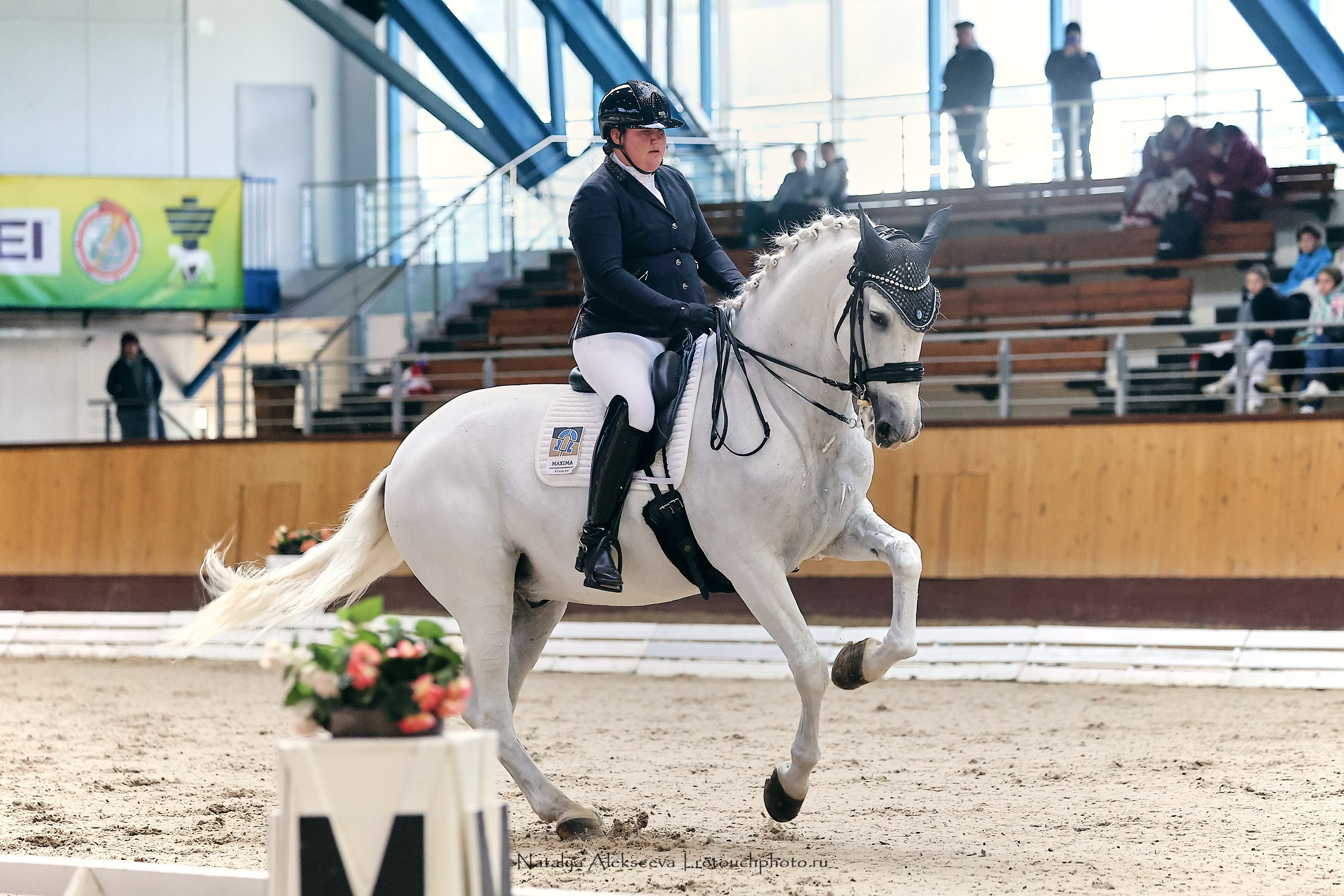 Звезды Евразии по выездке, Минск | 10'2023. Репортажный фотограф и ретушер в Москве Наталья Алексеева
