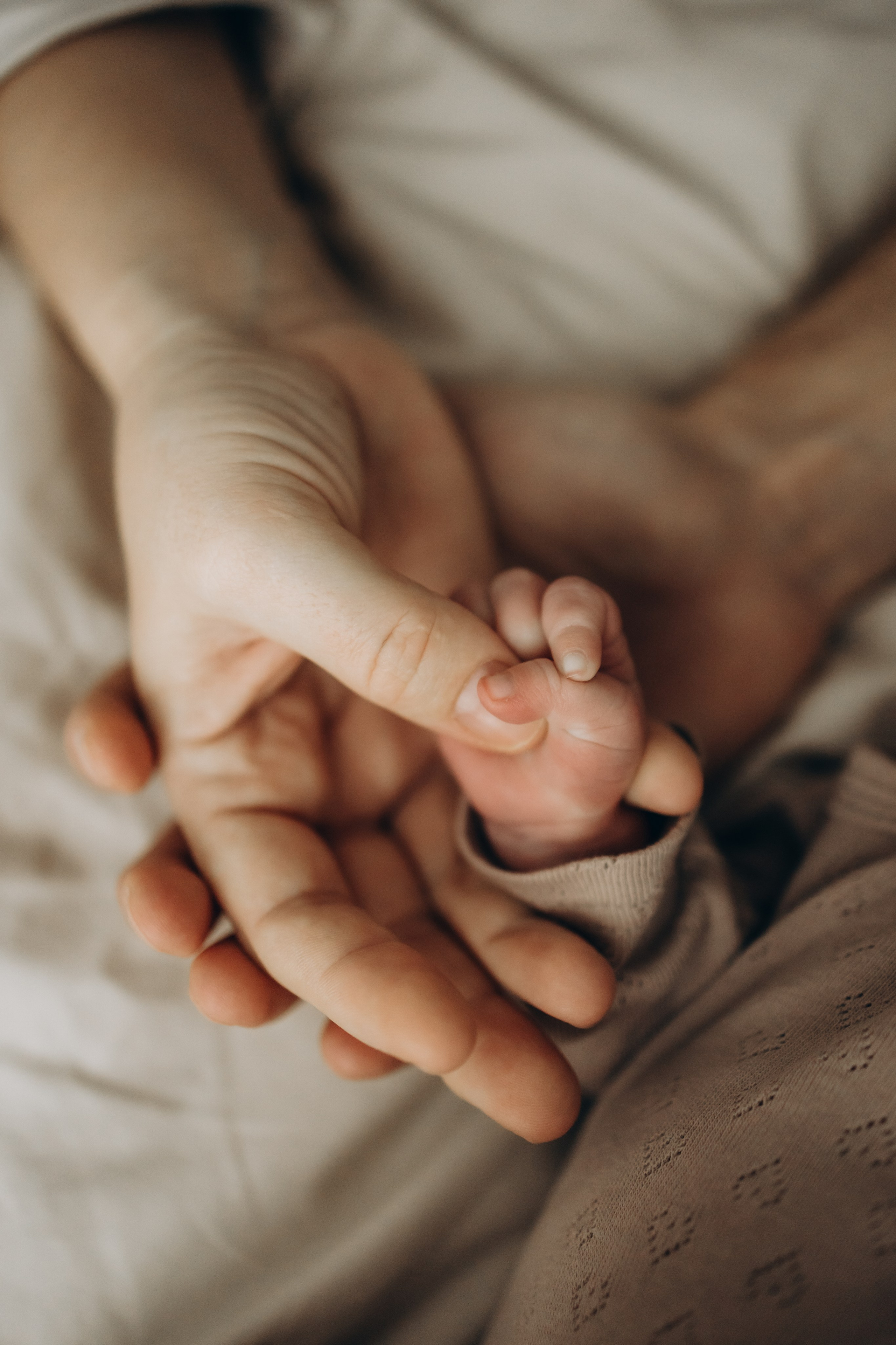 Новорожденные. Семейный и детский фотограф в Москве Антонина Смирнова