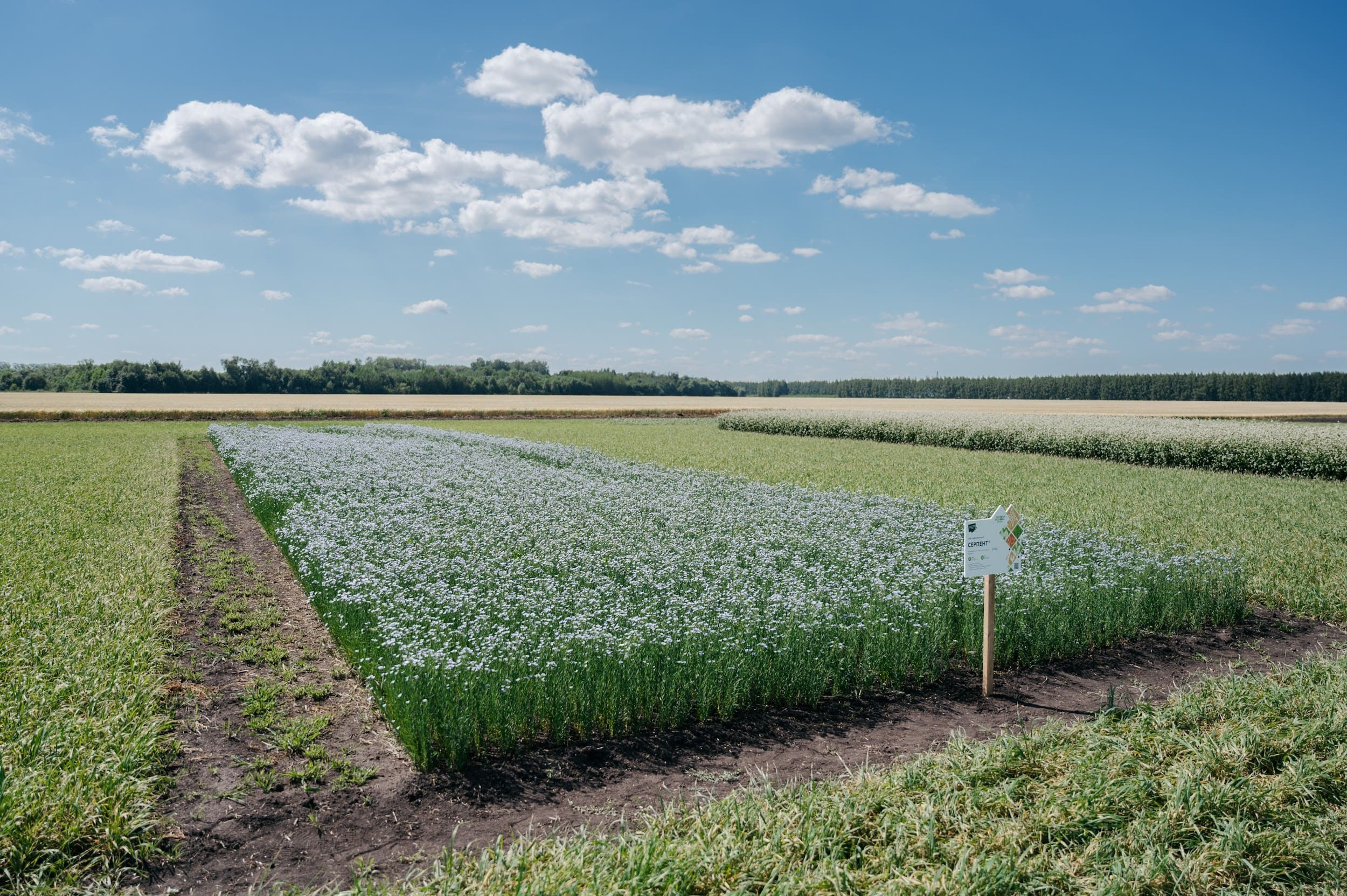 ЭКОНИВА. Владимир Дьяконов — Индустриальный и репортажной фотограф в России