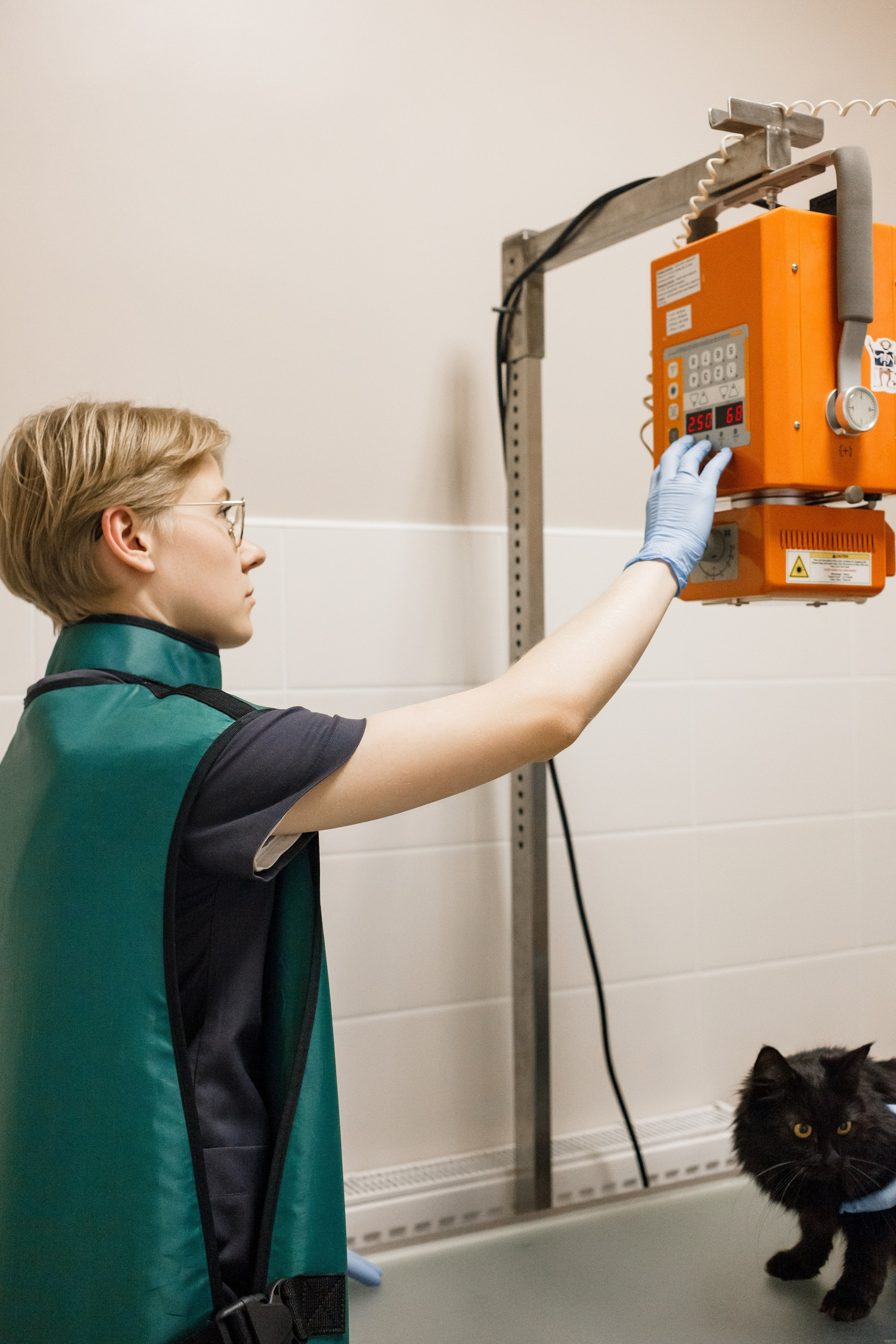 Контентная съемка для ветеринаркой клиники. КОНТЕНТ ФОТОГРАФ