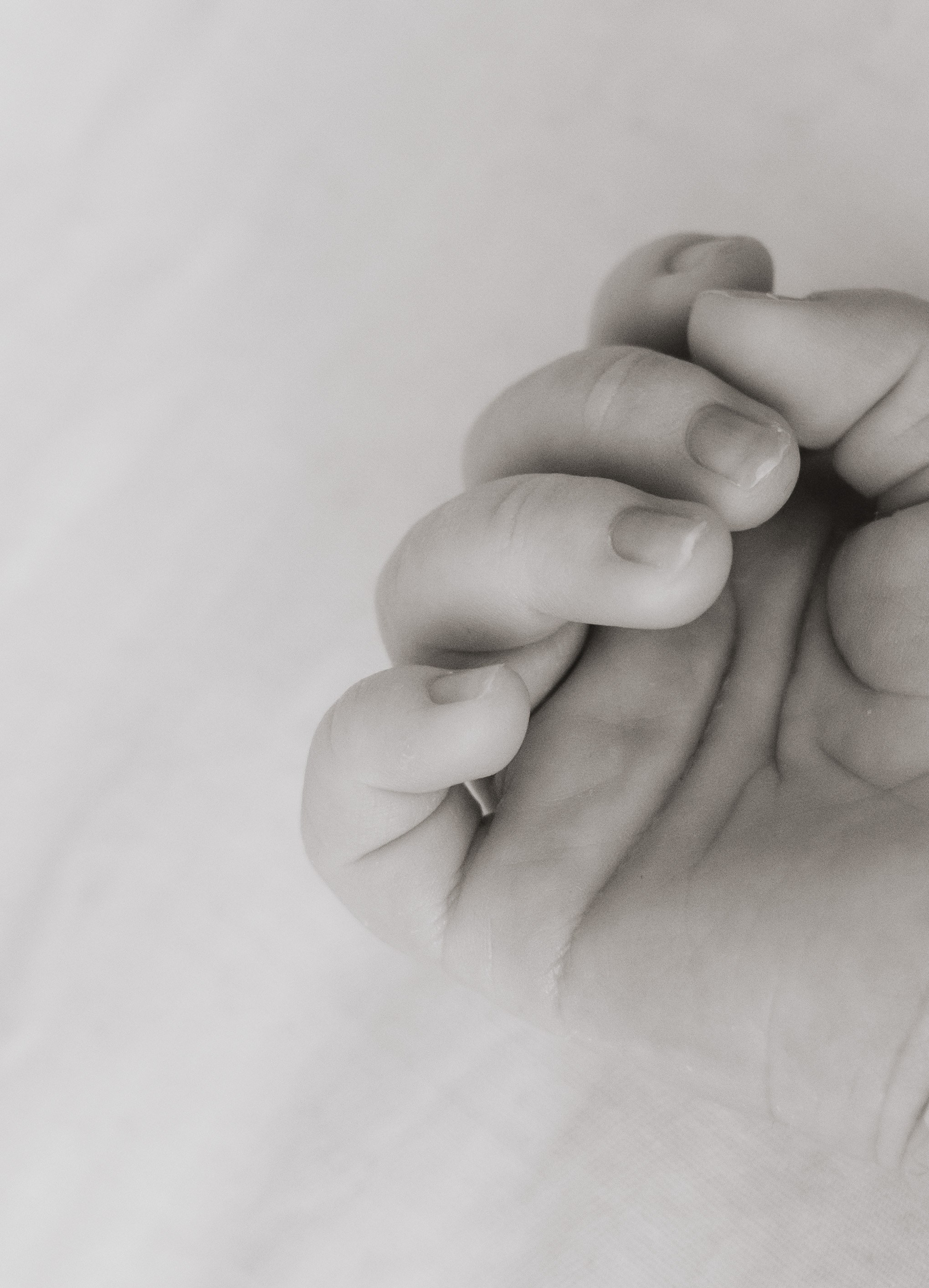 Выписка Евы + Нью Борн. Свадебный и семейный фотограф в Краснодаре Диана Смирнова