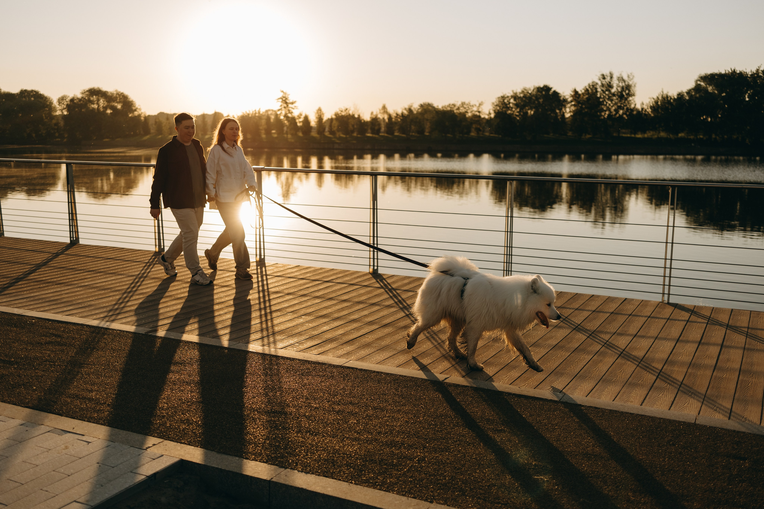 Танго и его семья. Фотограф — Анималист | Санкт-Петербург