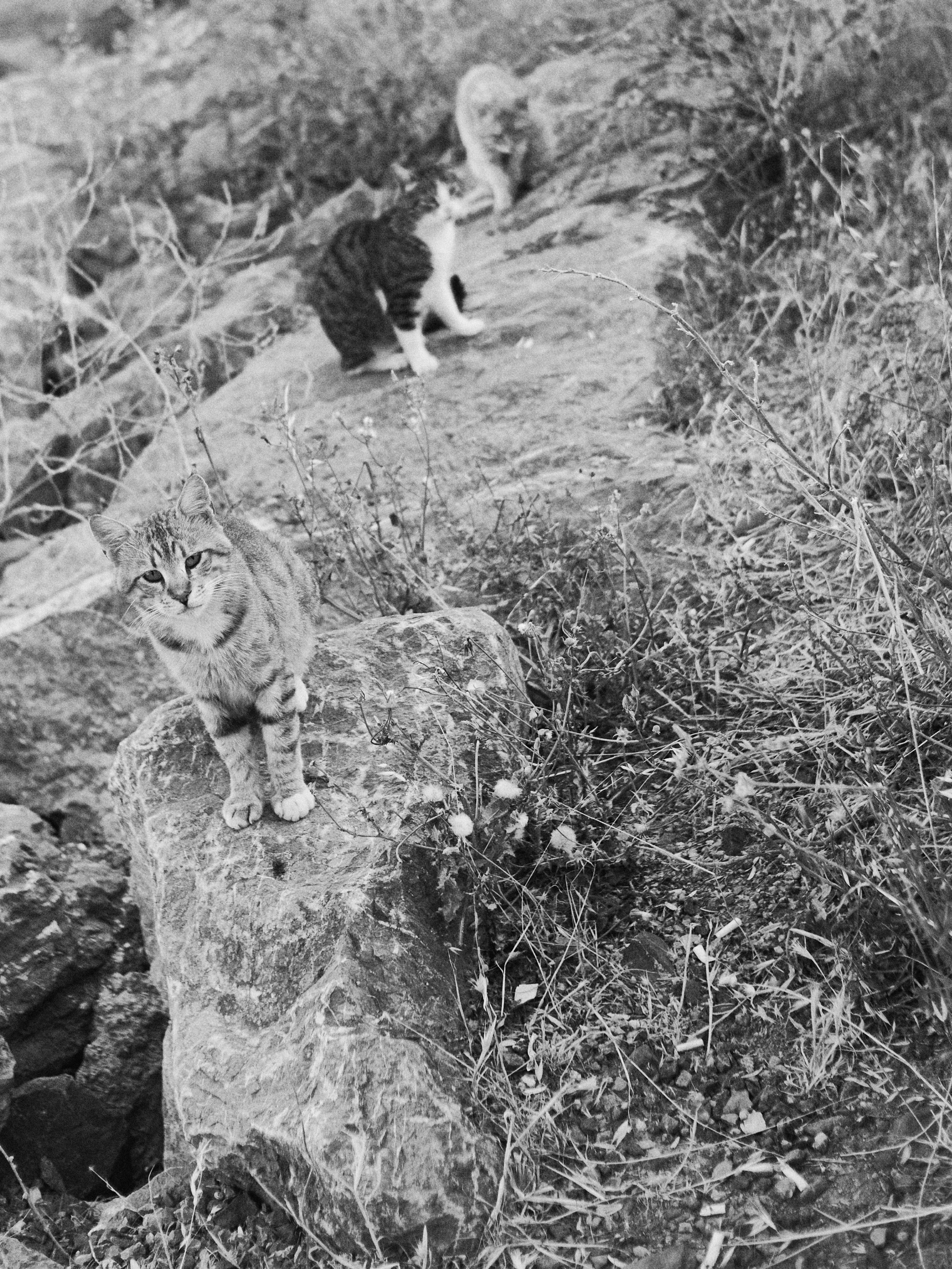 B&W. Jorgis — фотограф в Хургаде / обучение фотографии