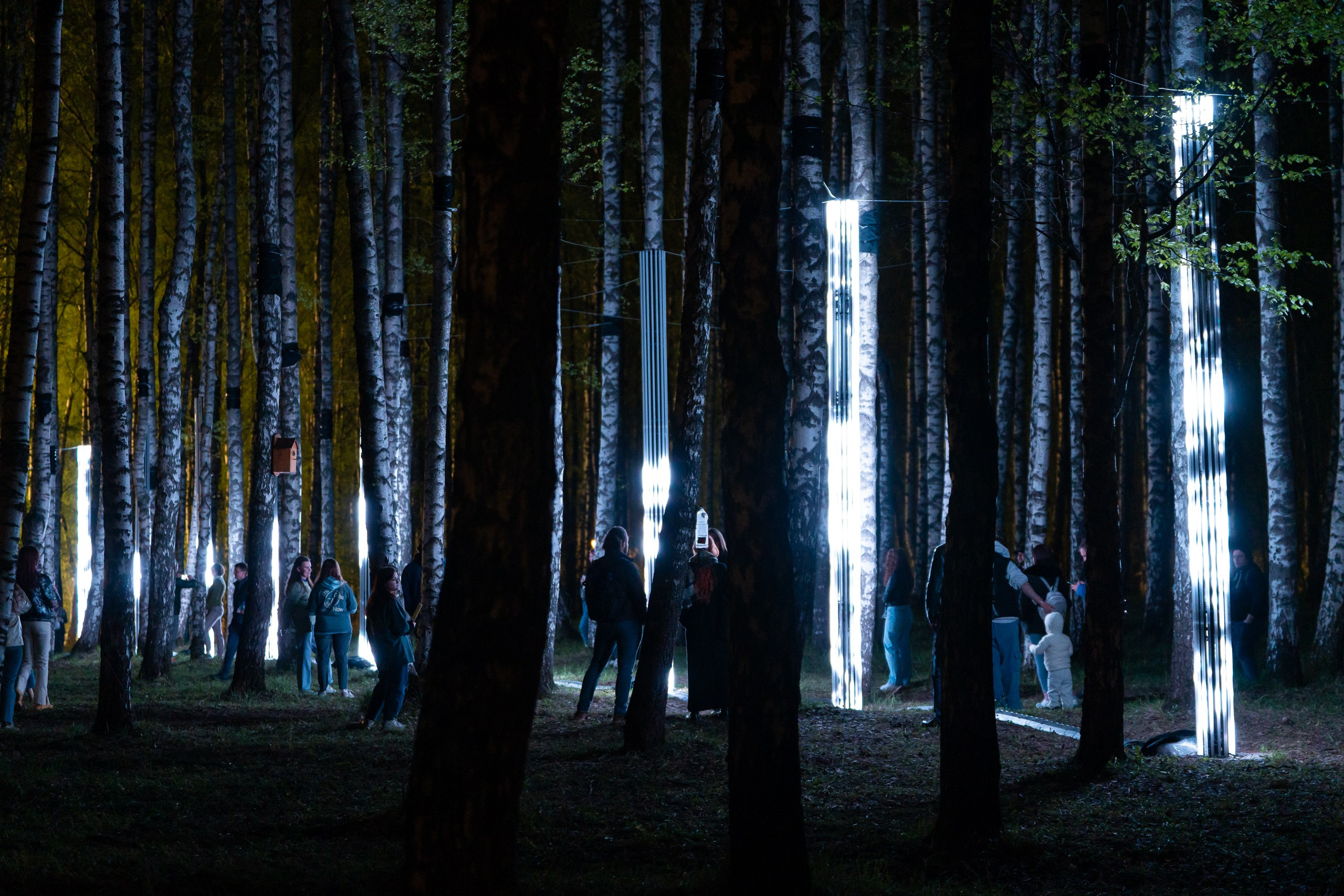 INTERVALS 2025. Sunnyman