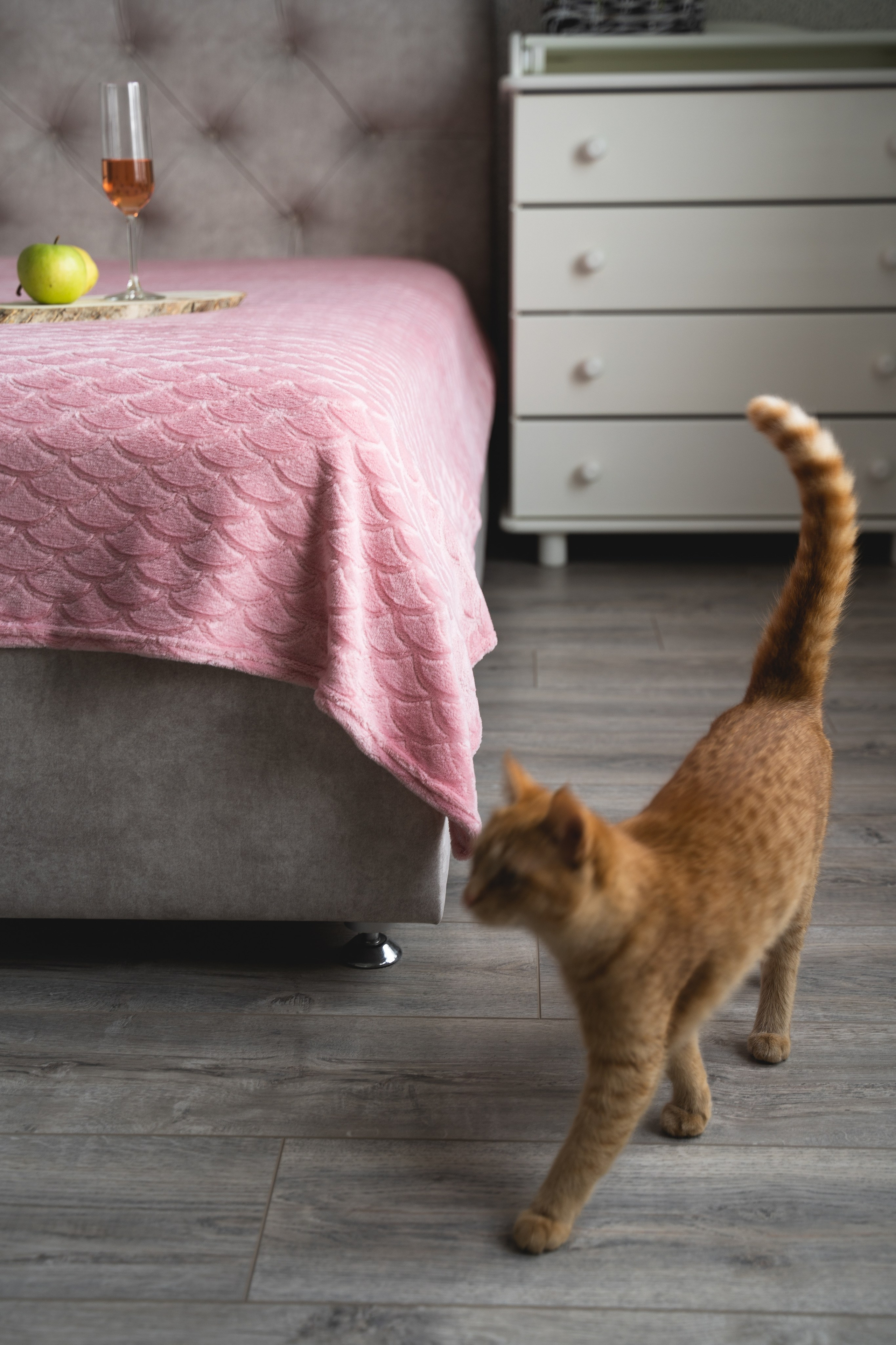 Пледный контент. Визуальный художник «Границы внутри»