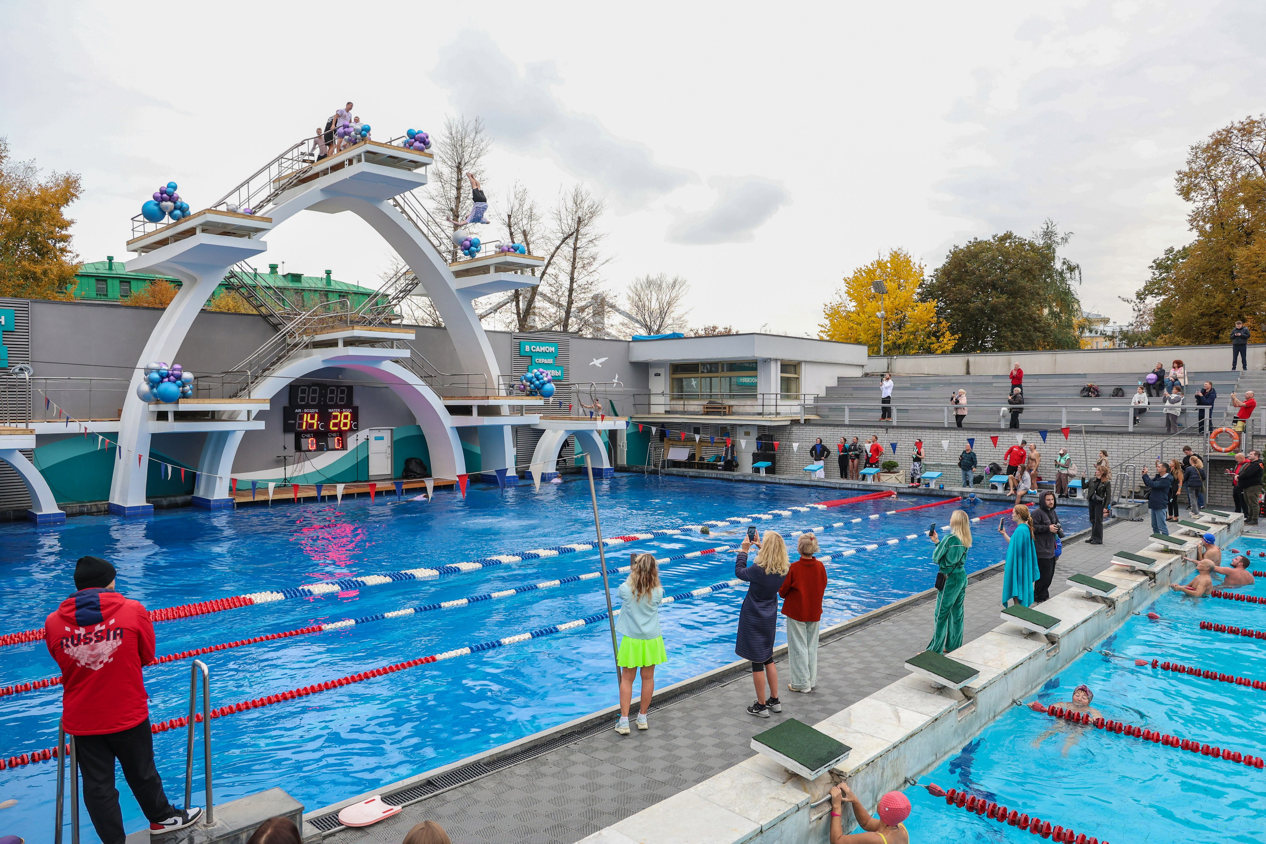 Анонс чайка. Фотограф и видеограф — Москва