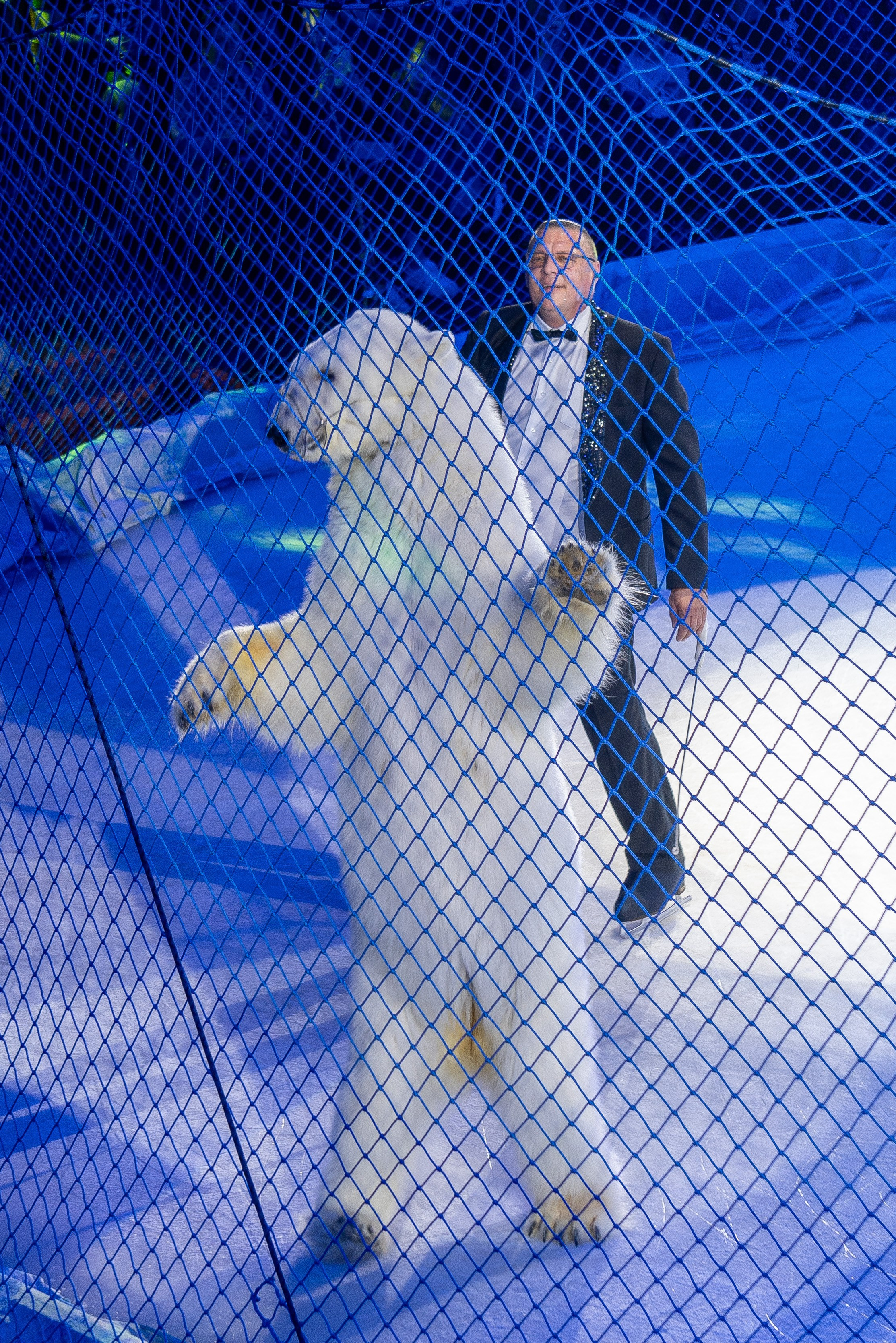 Цирк на льду «Айсберг» в Луганске. Фотограф в РФ и ЛНР Юлия Федосеева
