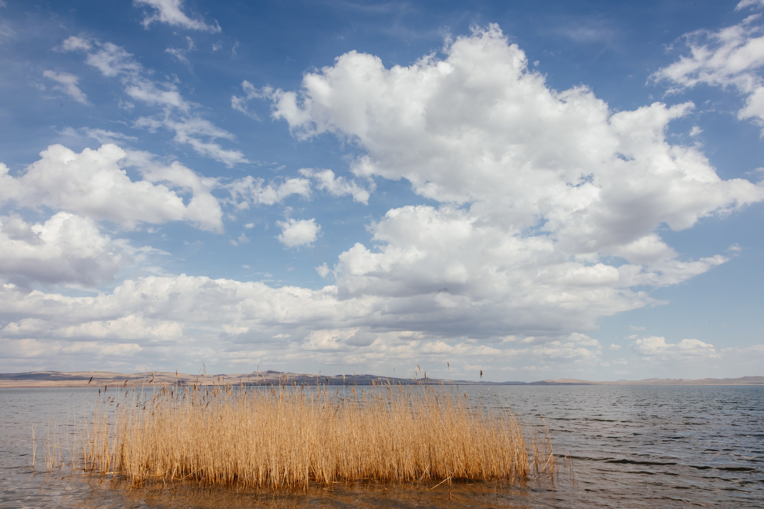 Хакассия. Фотограф в Красноярске Оксана Корчагина