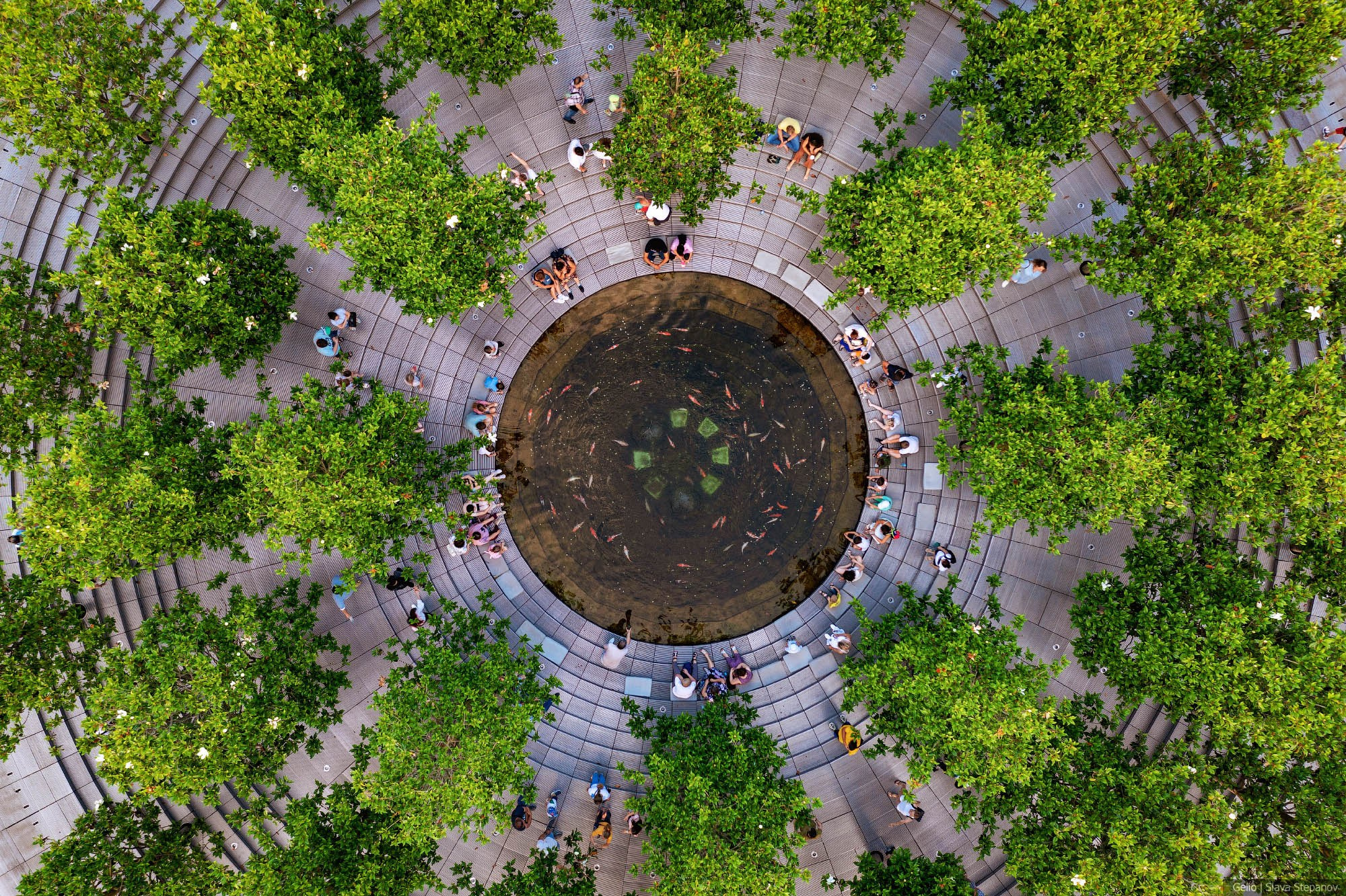 Прочее. Фотограф Слава Степанов, Gelio