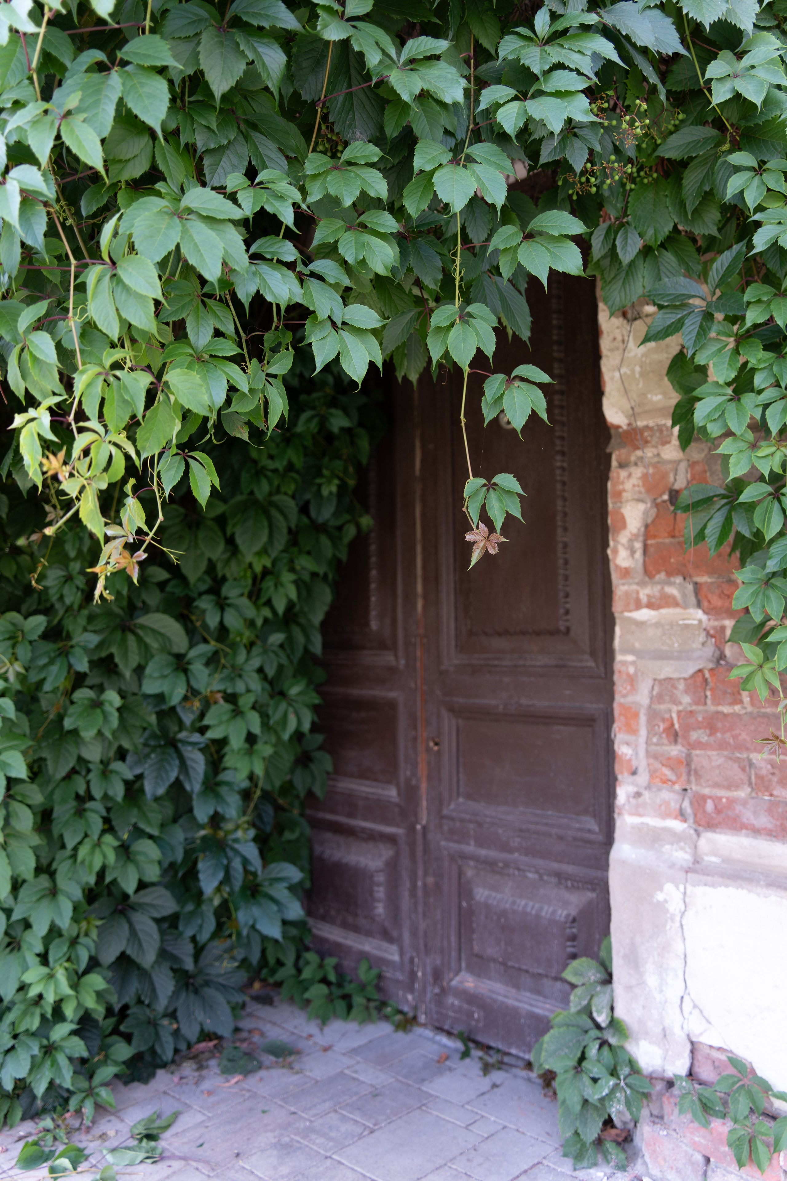 20250729-30 Ростов. Дмитрий Ремизов. Фотография, как хобби