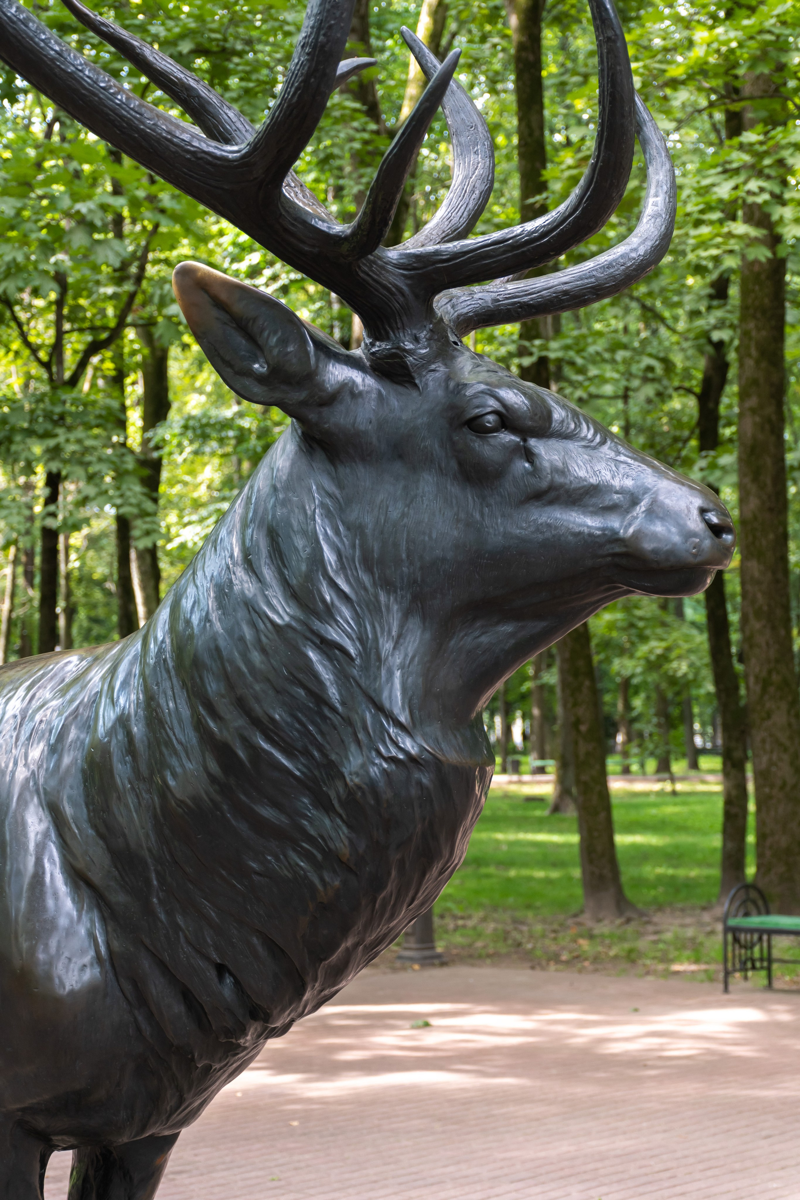 20220803-04 Смоленск. Дмитрий Ремизов. Фотография, как хобби