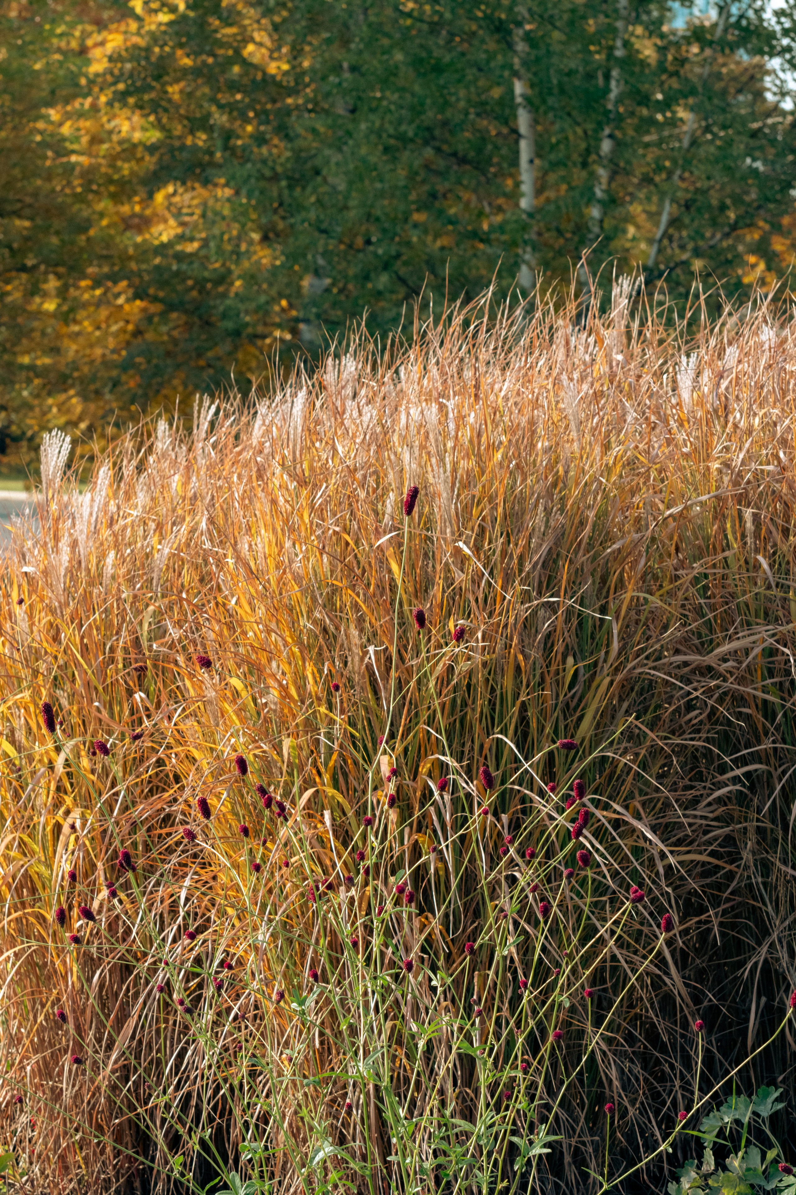 20211003 Поклонка. Дмитрий Ремизов. Фотография, как хобби