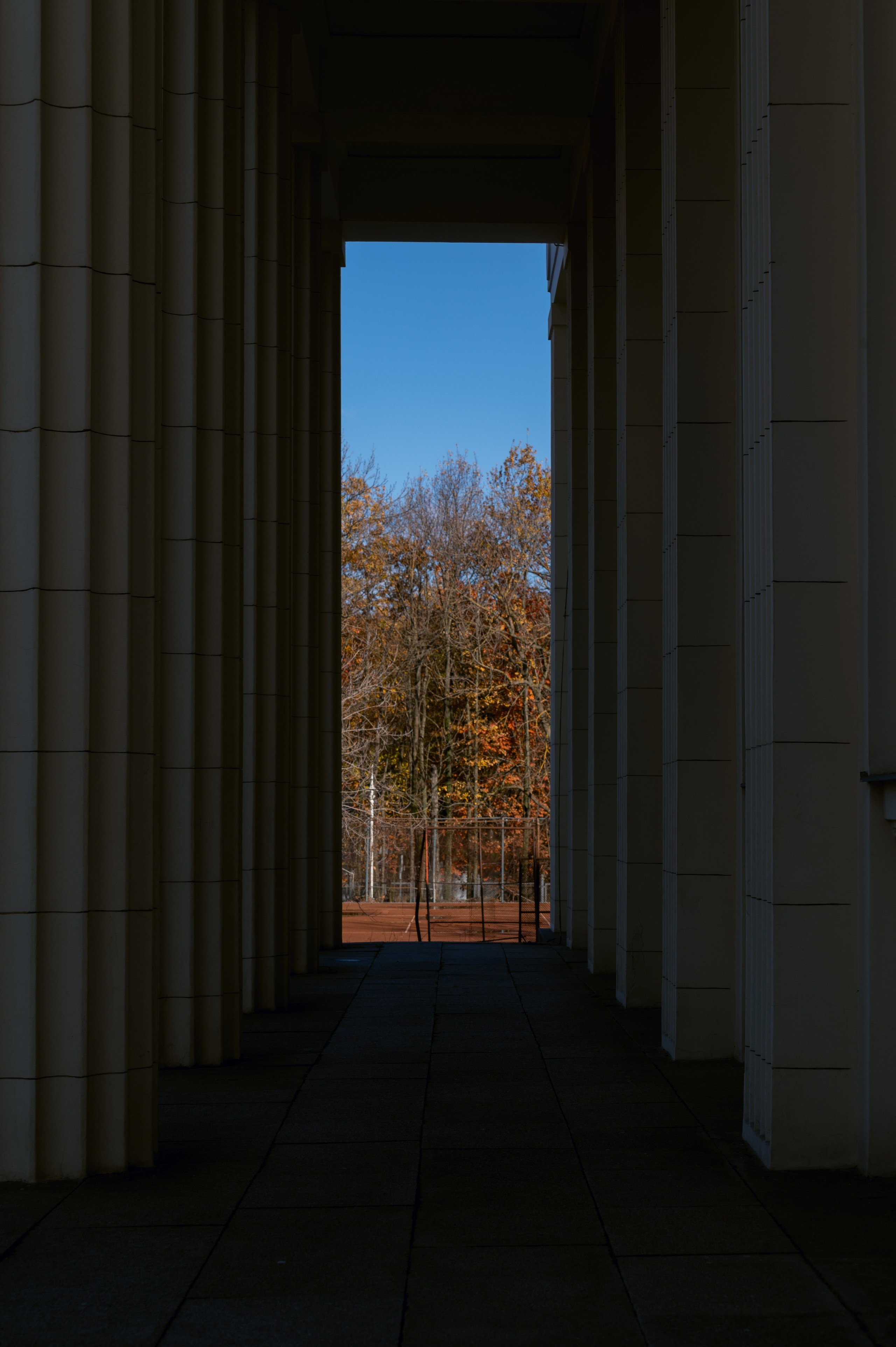 20241102 МГУ. Дмитрий Ремизов. Фотография, как хобби