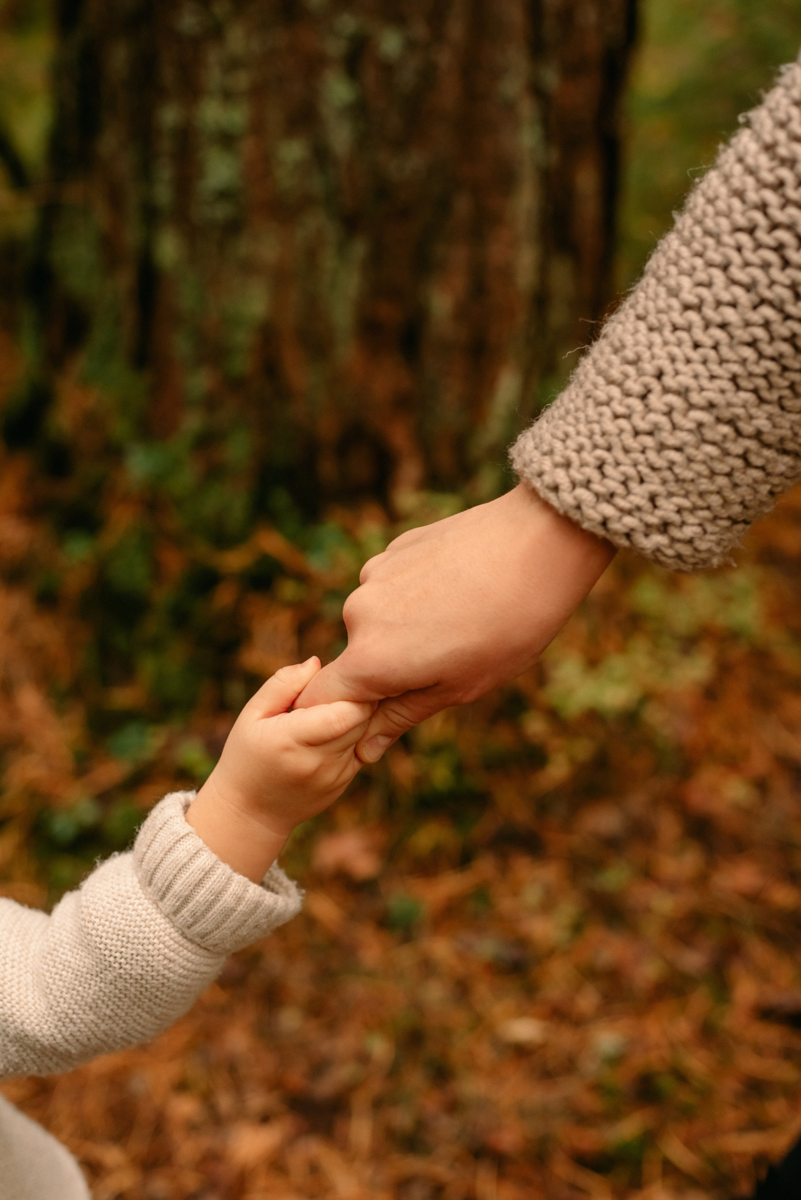 Фотосессия в лесу. Фотограф Юлия Кондратьева