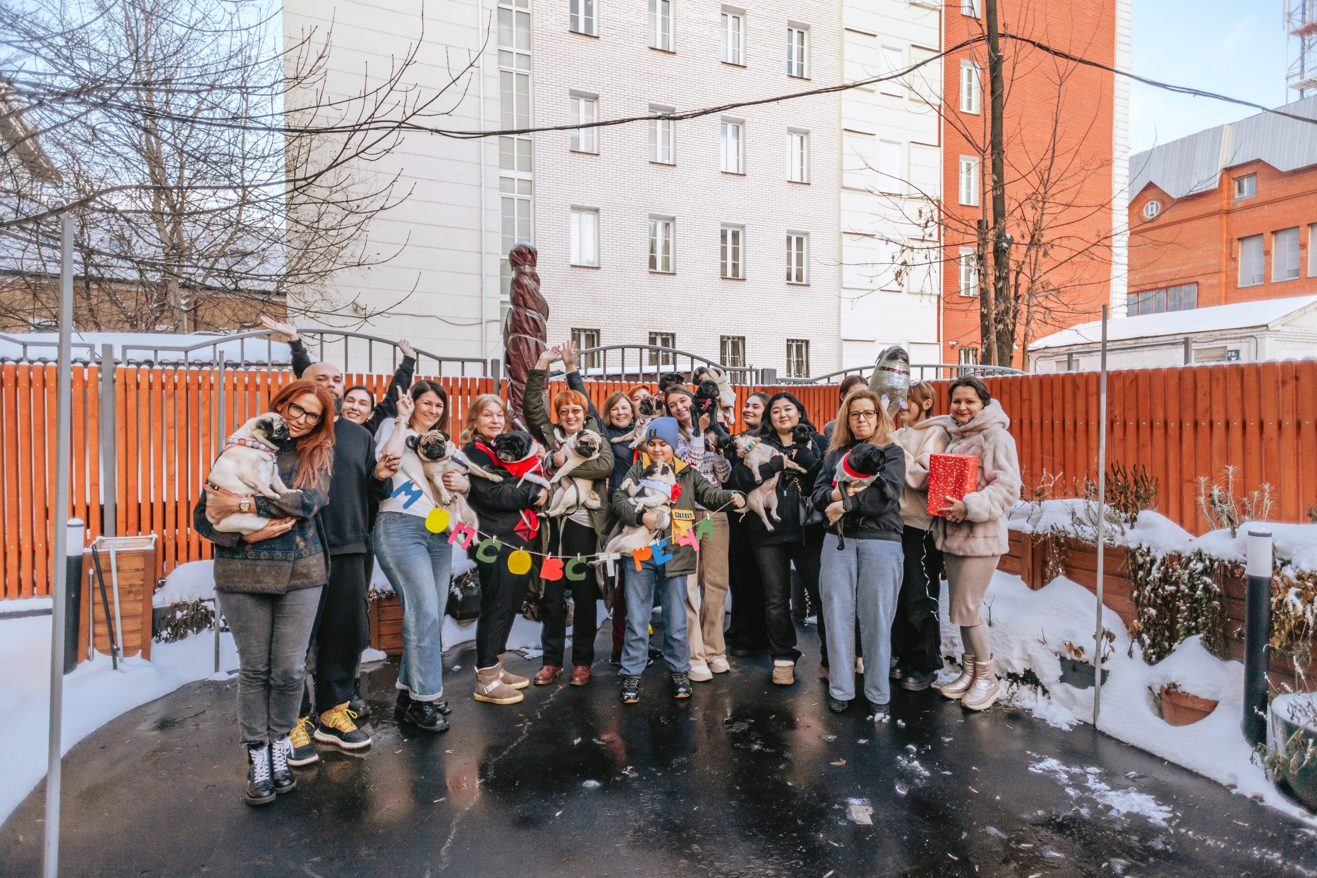 Мопсовстреча 02.12.2023. Фотограф-анималист Татьяна Степанова