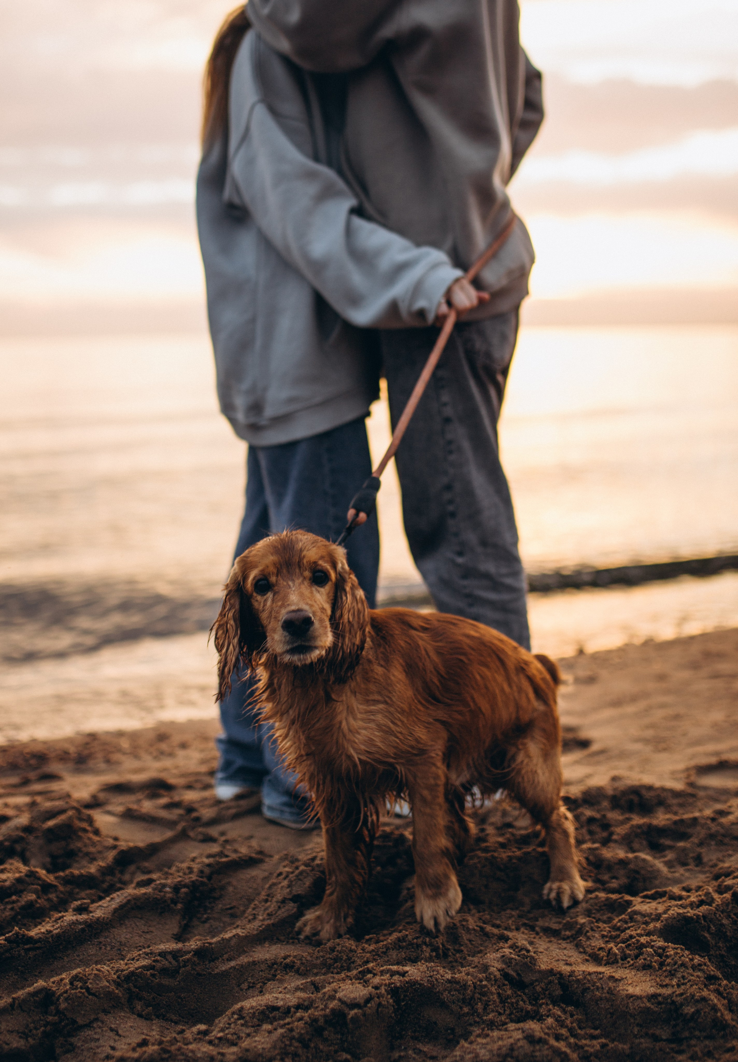 Кристина & Женя. Фотограф Винокурова Кристина в Санкт-Петербурге