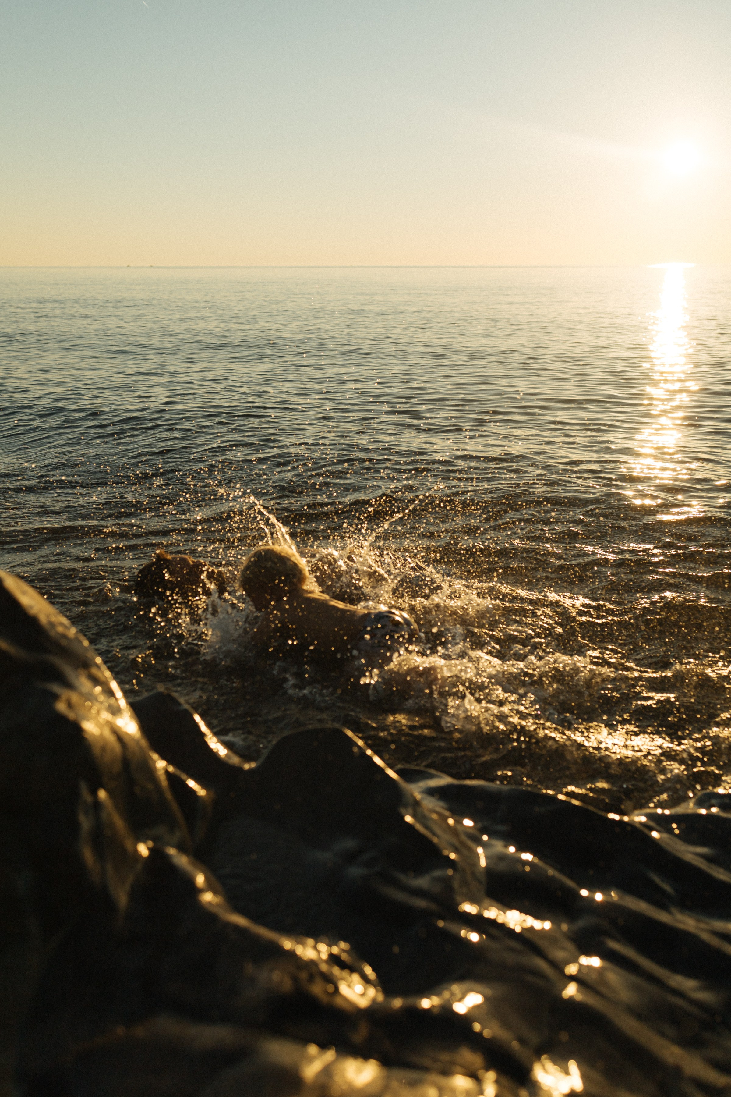 Виталий и Эрнест. Фотограф Наталья Гончарова. Снимаю живые портреты в Алматы