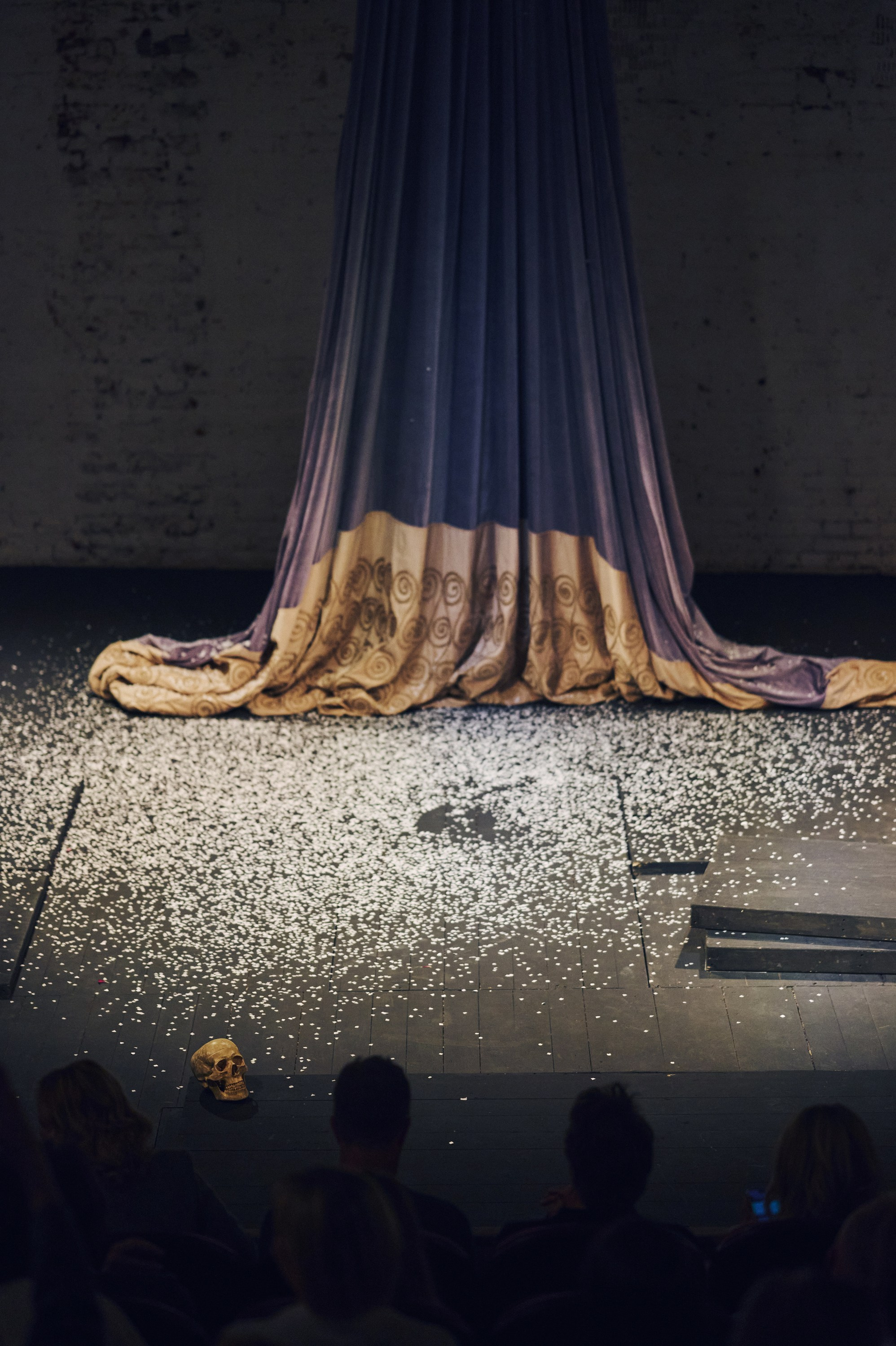 Закрытый показ спектакля «ГАМЛЕТ». Фотограф Сергей Бойко Москва