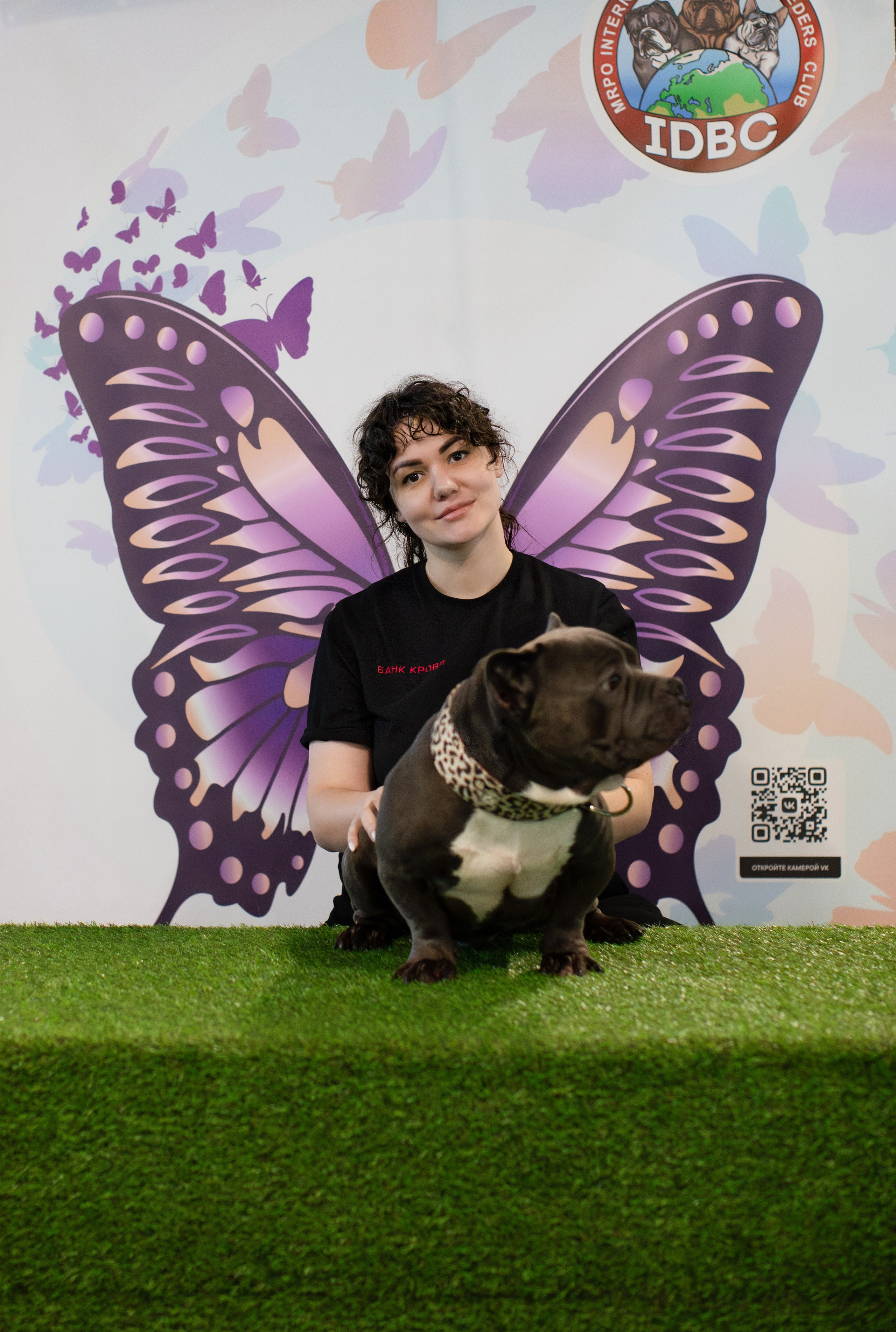 Выставки. Портретная и семейная съемка. Фотограф анималист