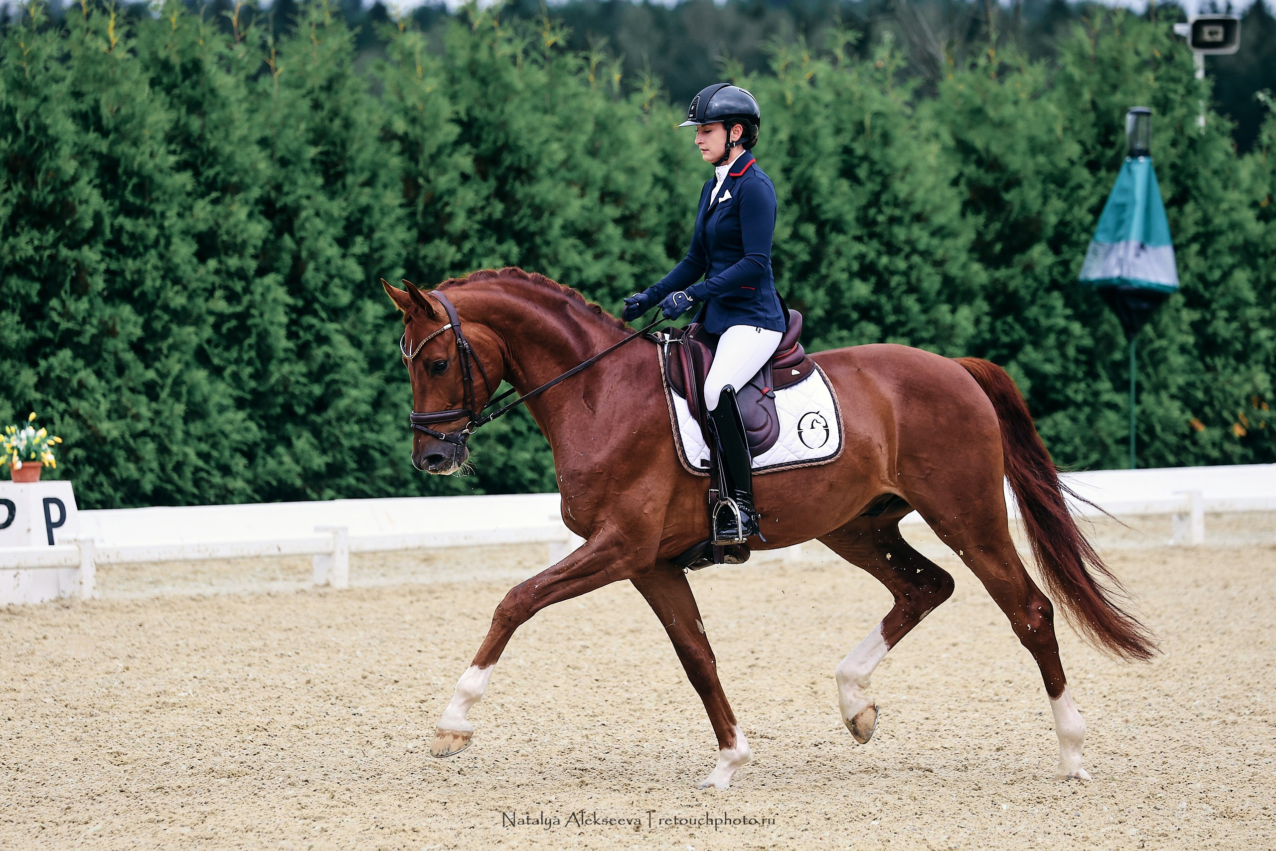 Евразийские игры по выездке, Maxima Stables. Репортажный фотограф и ретушер в Москве Наталья Алексеева