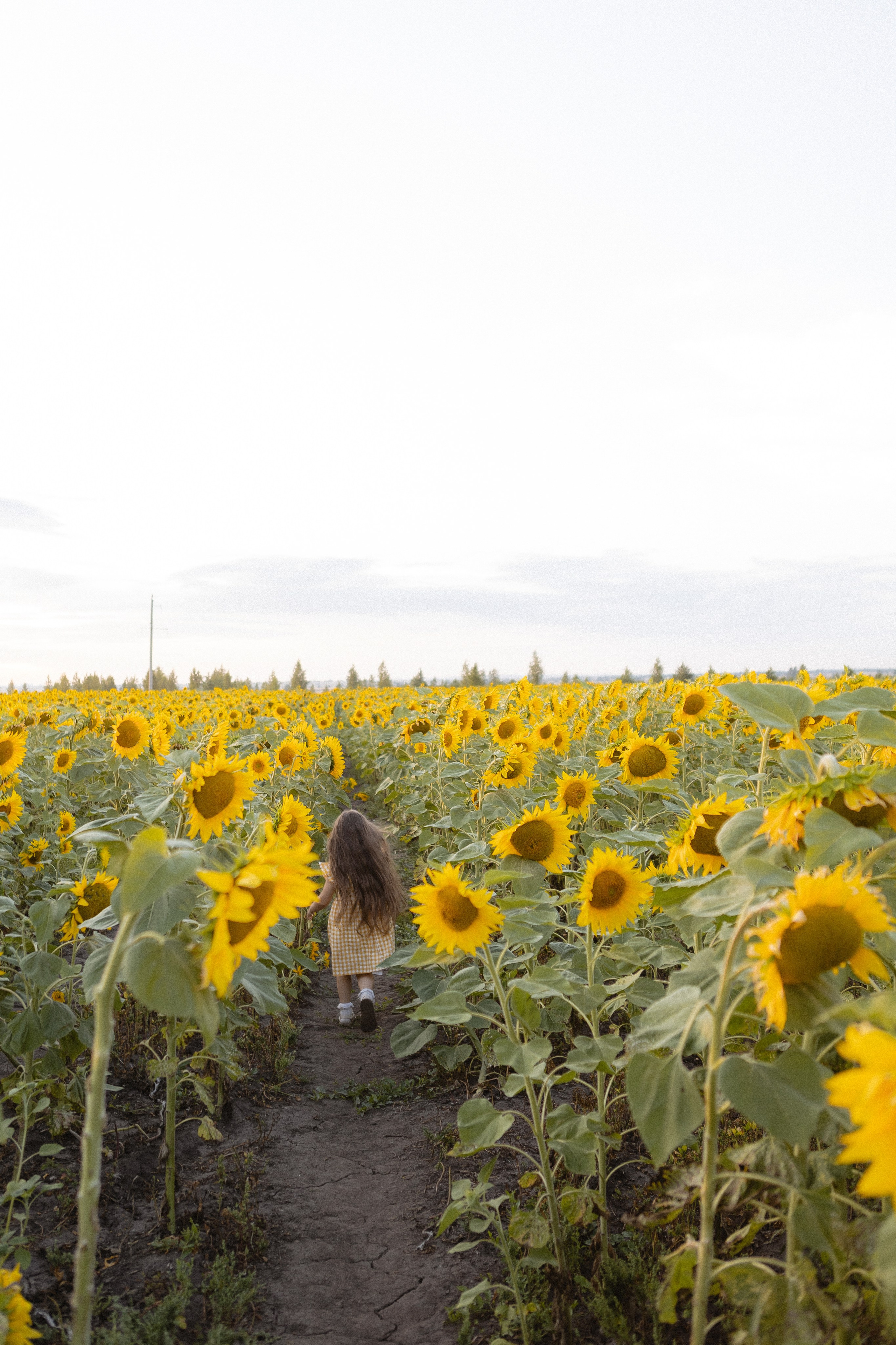 Сестренки Камилла и Айлин. Фотограф в Казани.Снимаю индивидуальные портреты, love story и свадьбы