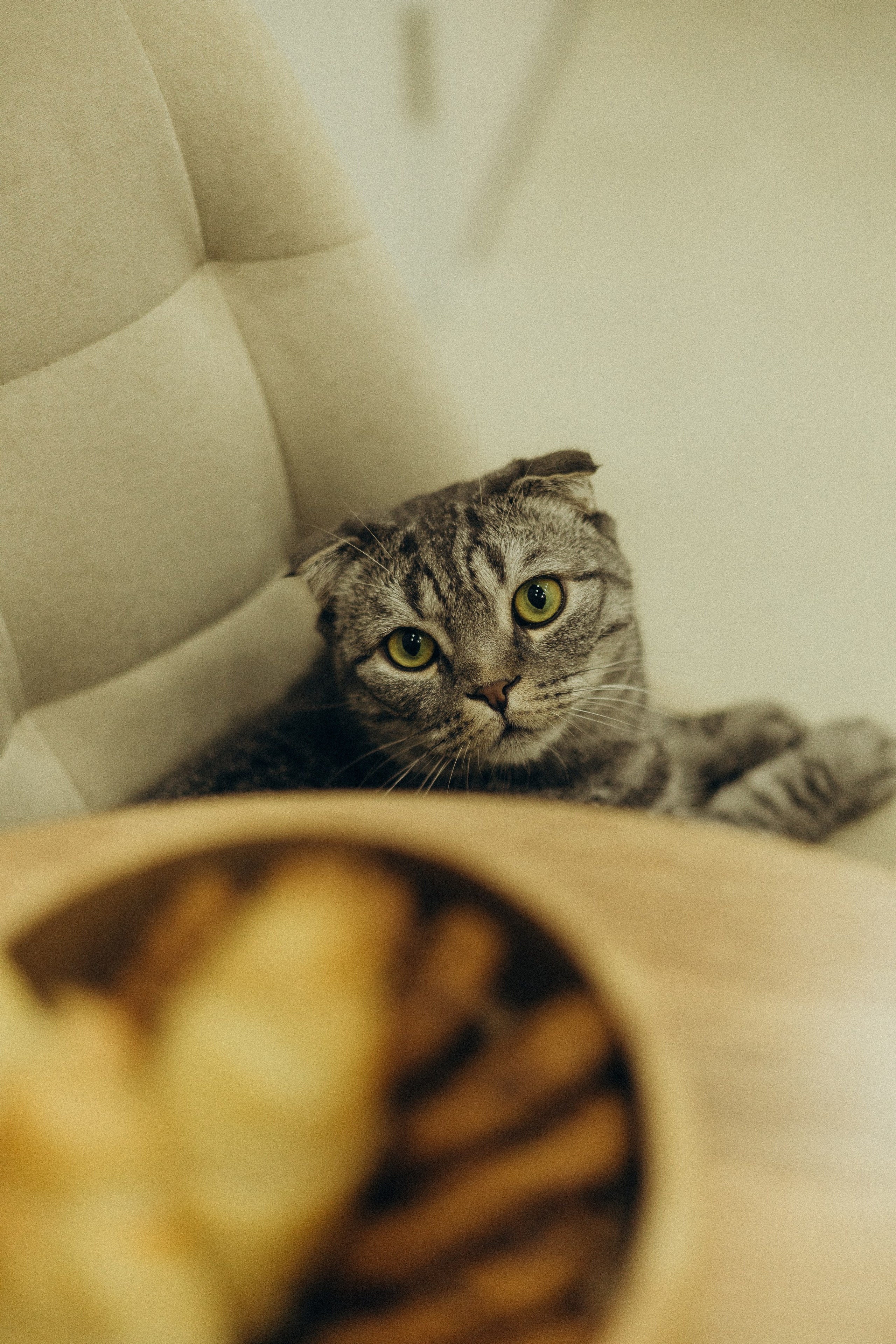 Дом там, где любовь♡. Фотограф в г. Чита