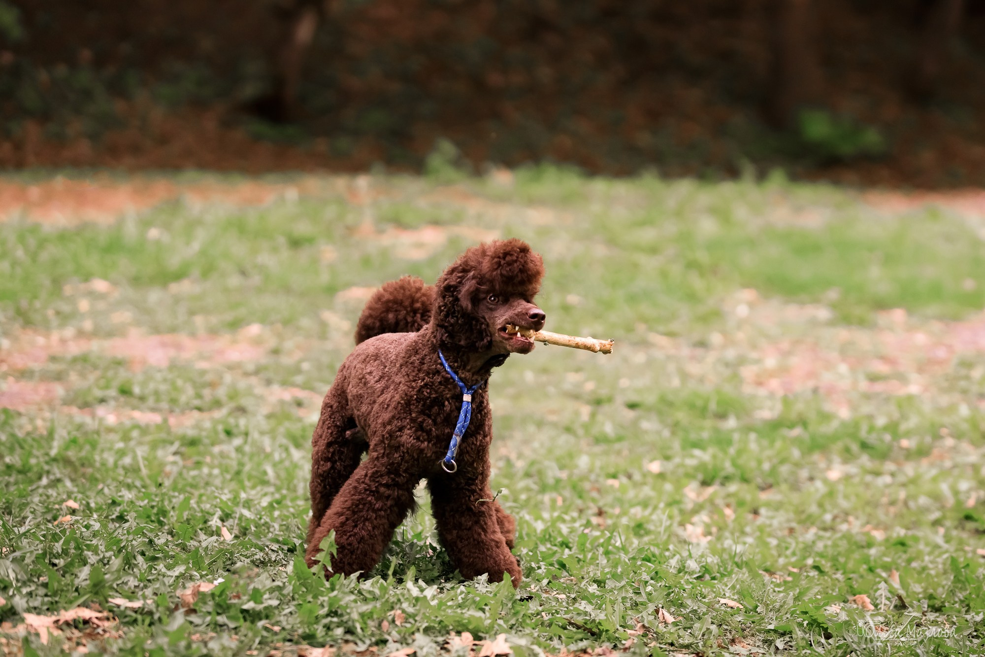 У санатория. Фотограф в Саратове Ольга Мазлова