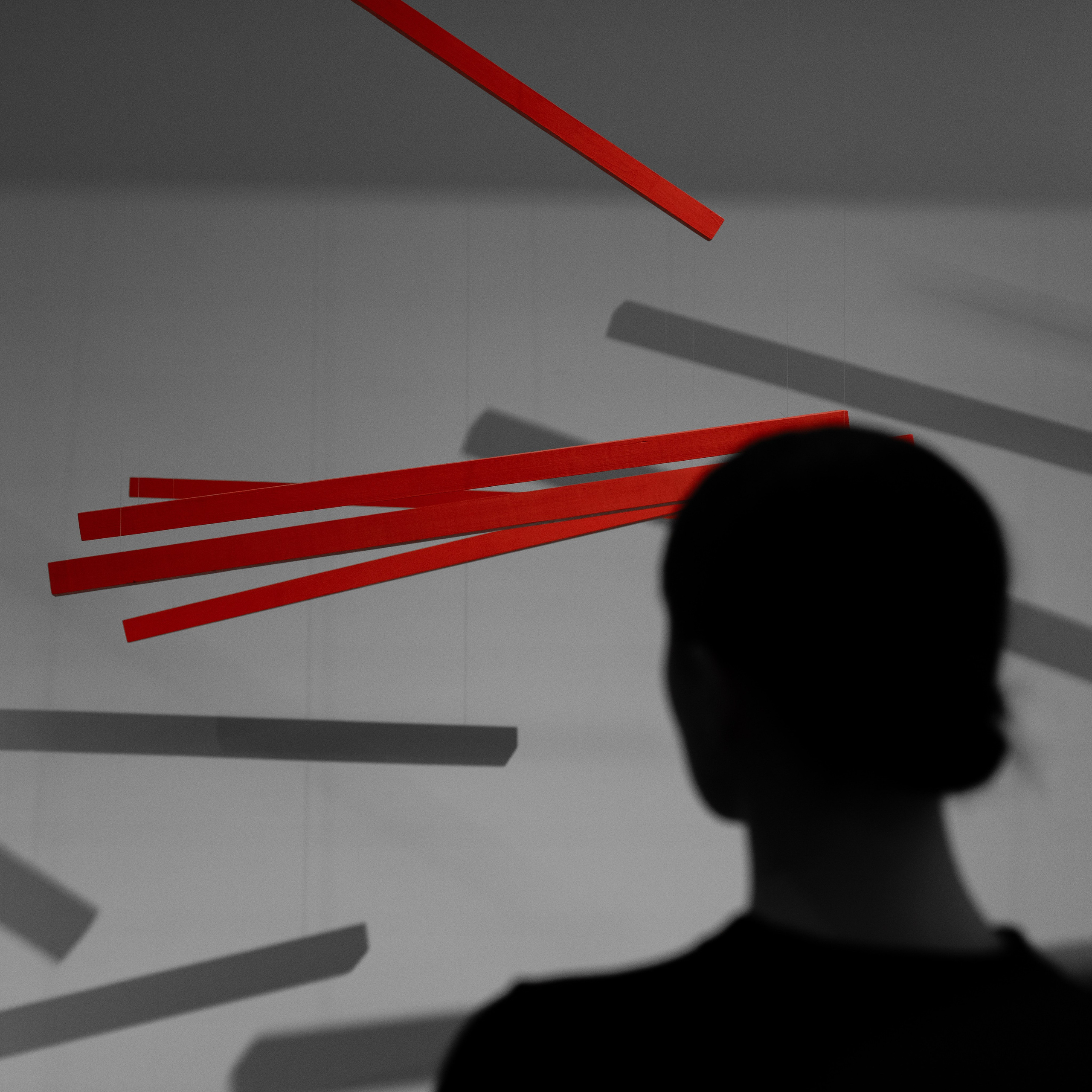 Выставка в Зотов Центре: «Русское невероятное». Фотограф в Москве. Шахабудин