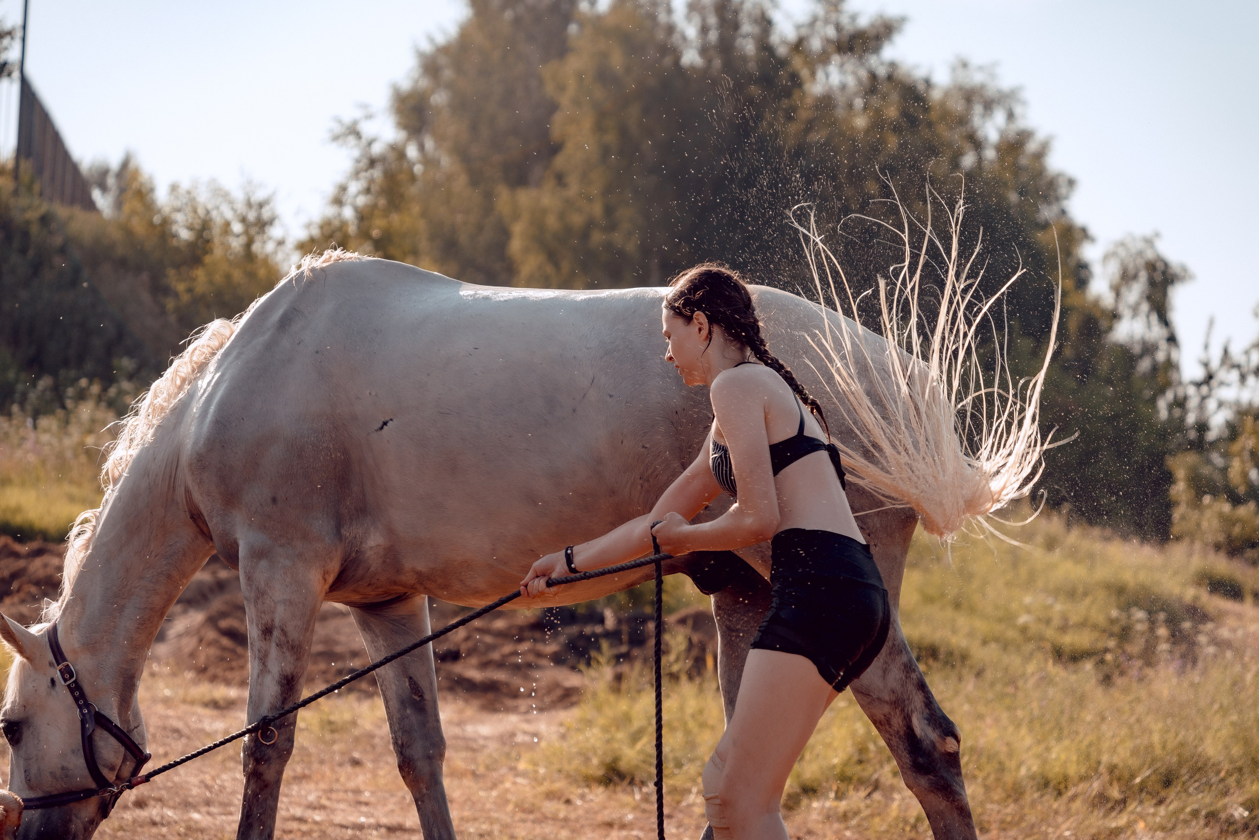 Купание лошадей 05.07.2024. Портретный и семейный фотограф в Москве/Видное